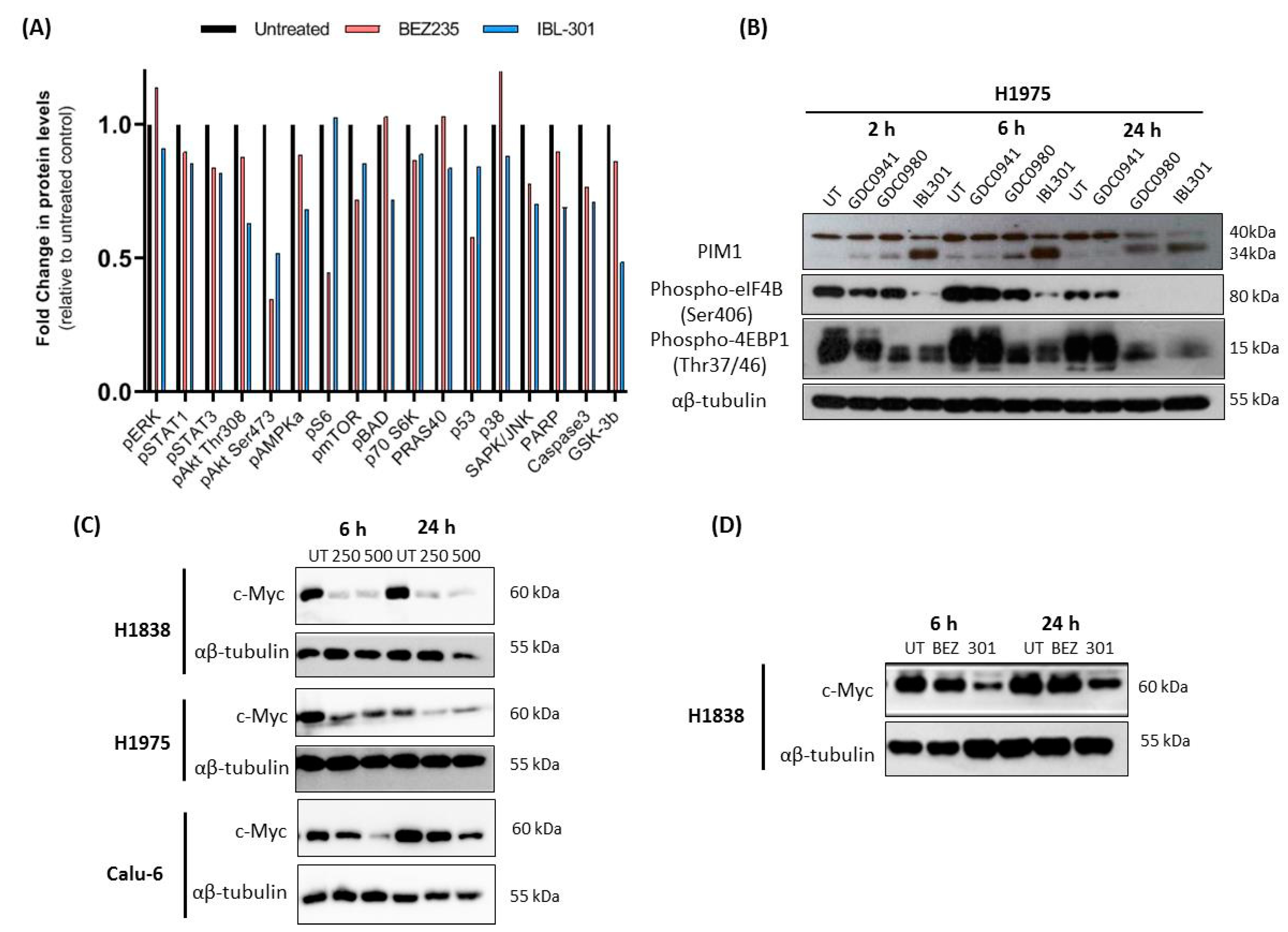 Cancers 13 02139 g003