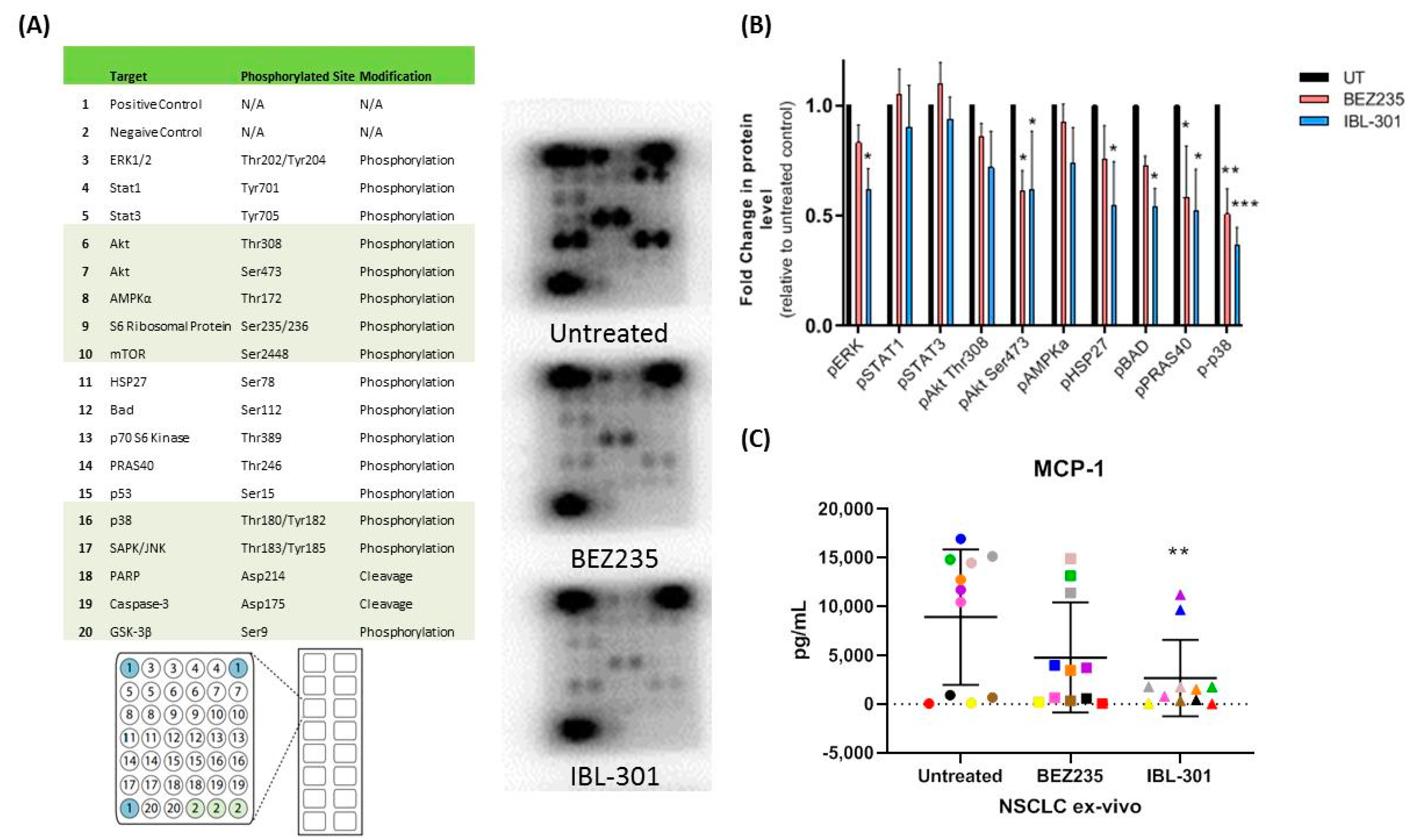 Cancers 13 02139 g004