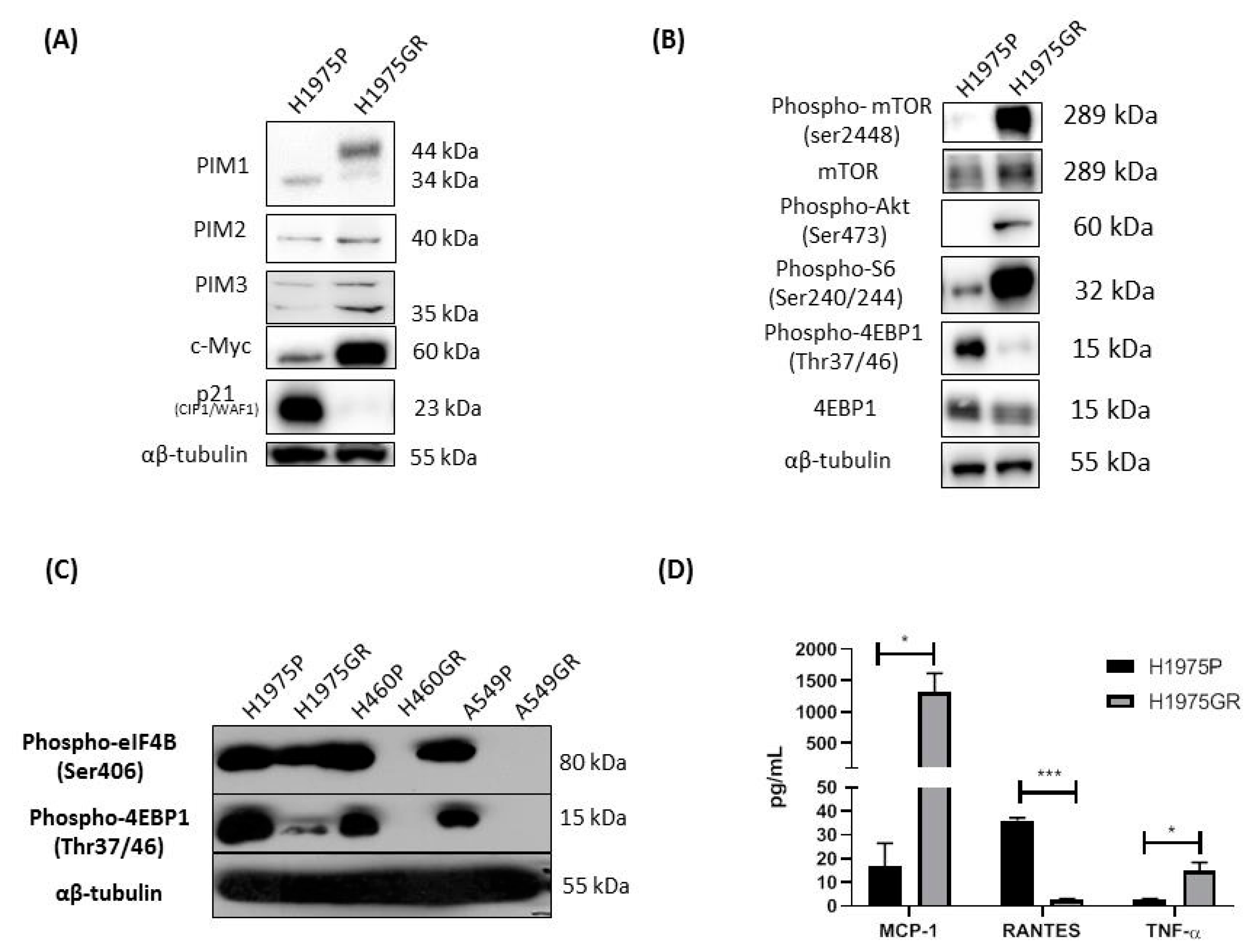 Cancers 13 02139 g006
