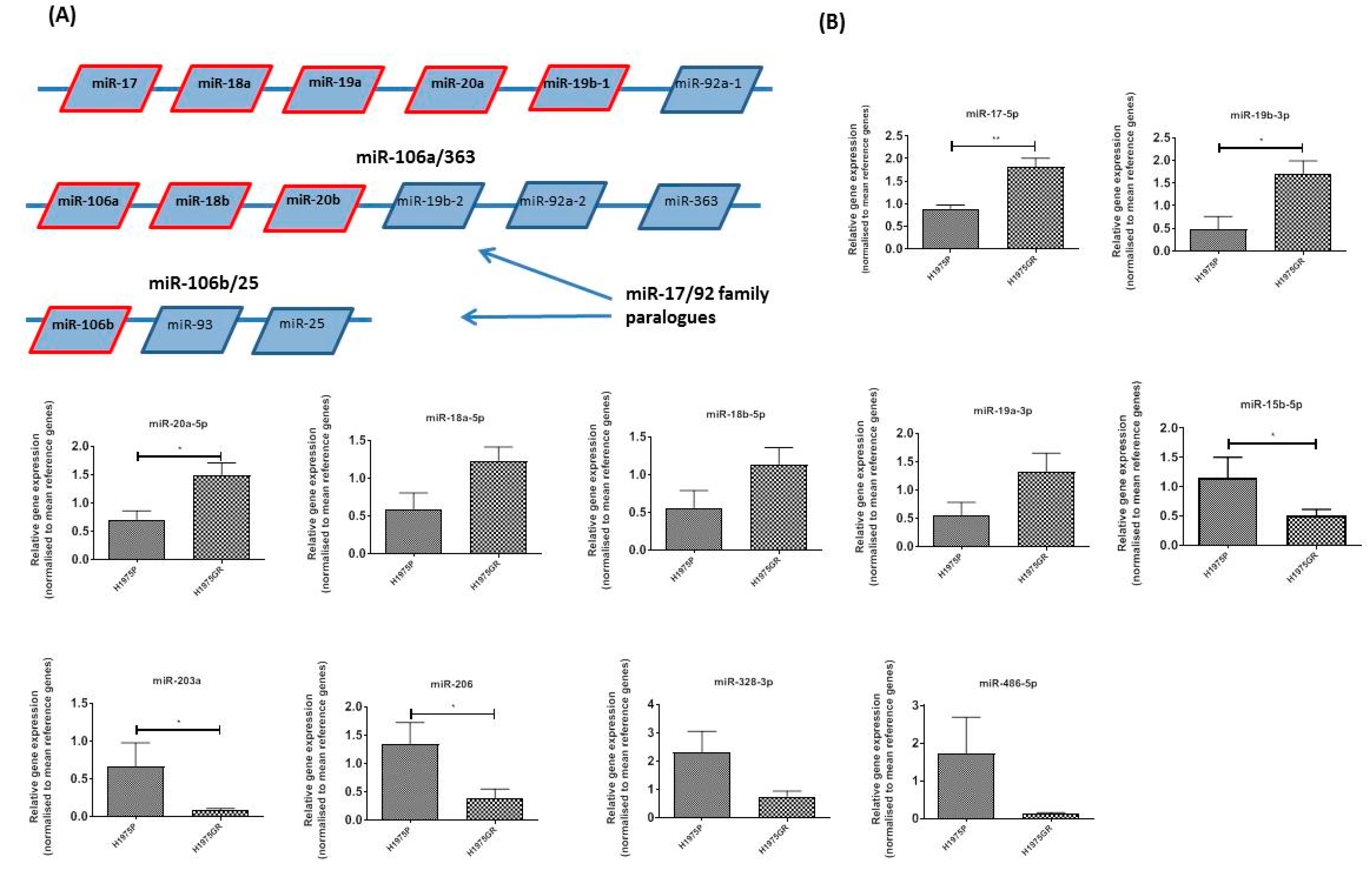 Cancers 13 02139 g008