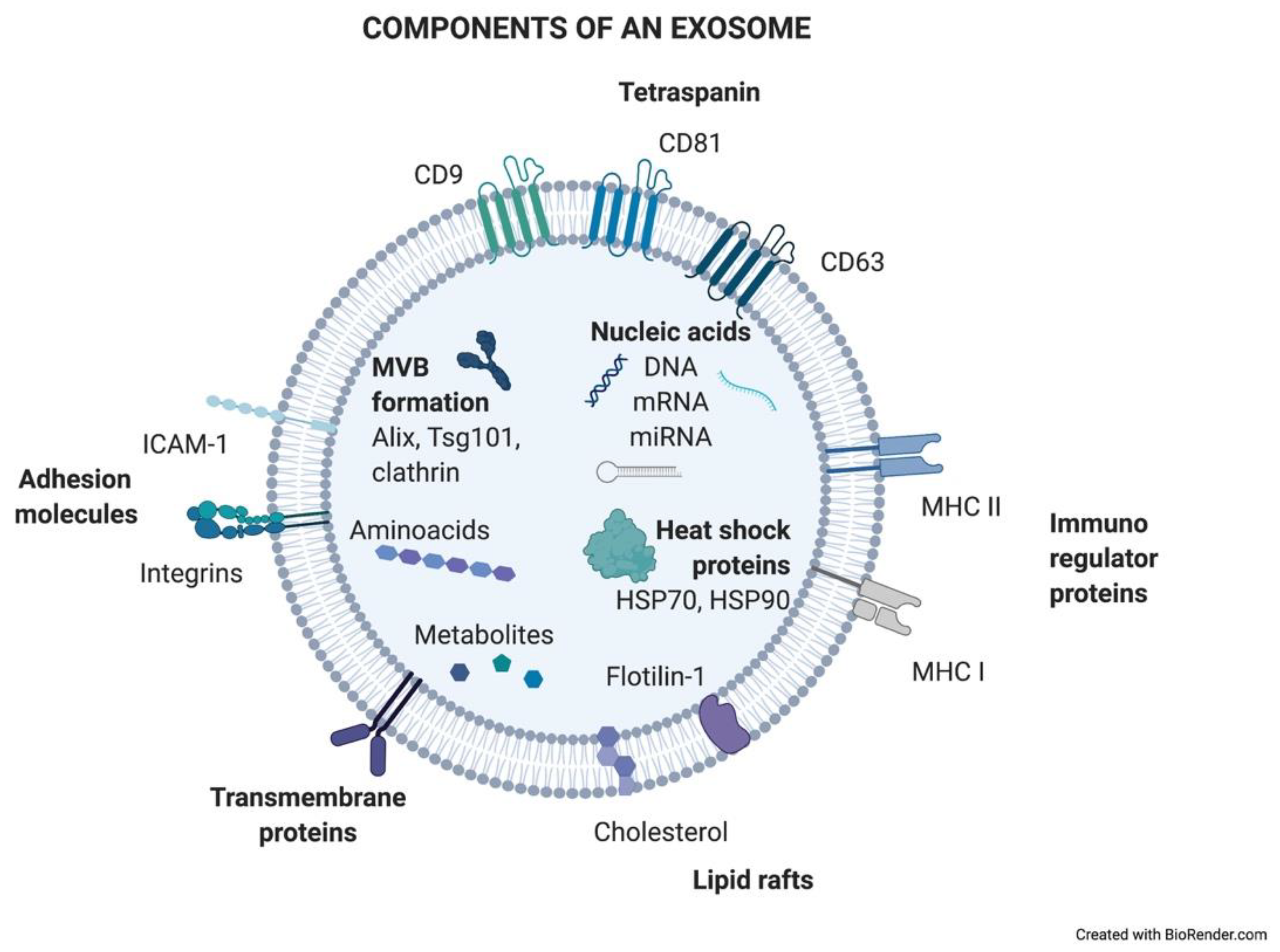 Cancers 13 02147 g001
