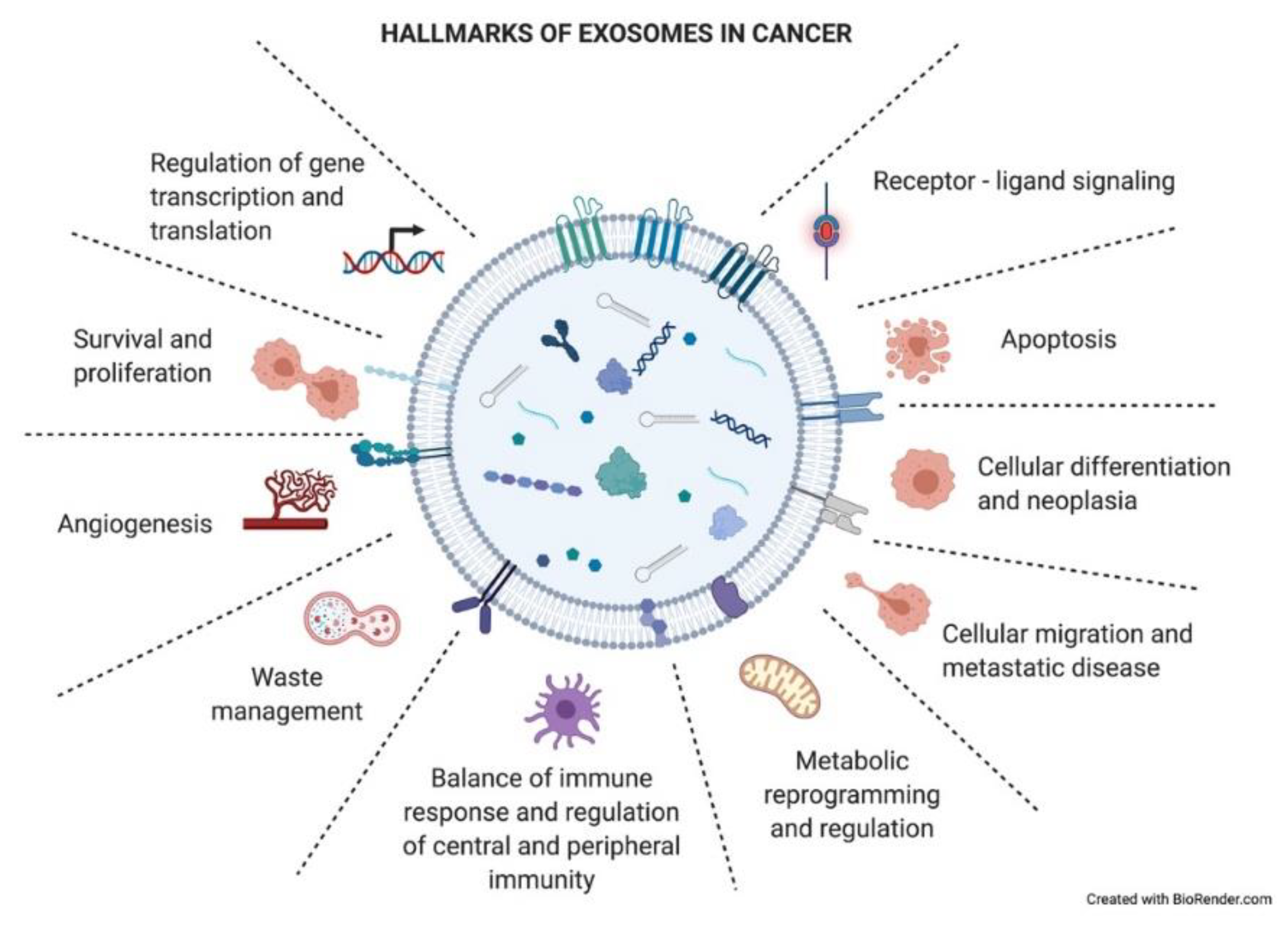Cancers 13 02147 g004