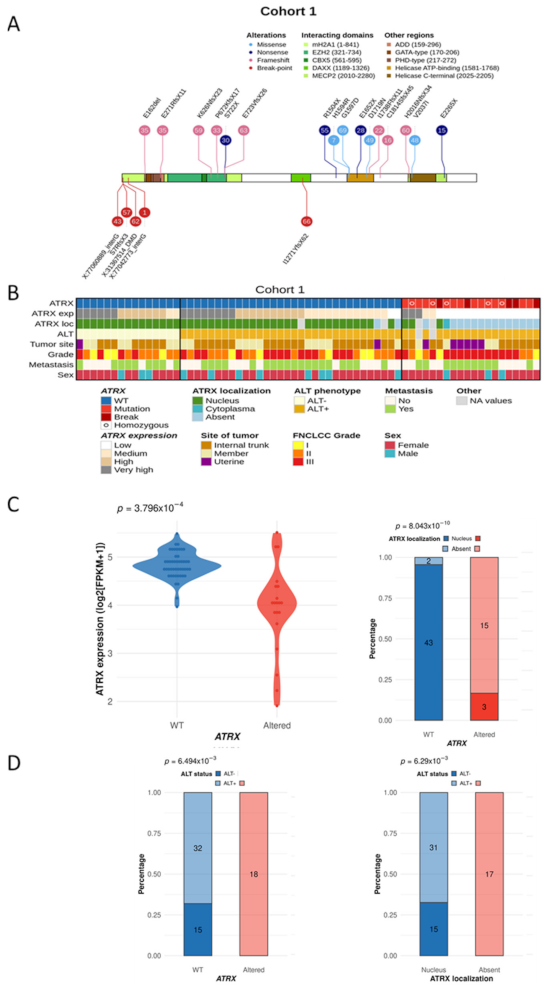 Cancers 13 02151 g001 Cancers 13 02151 g001