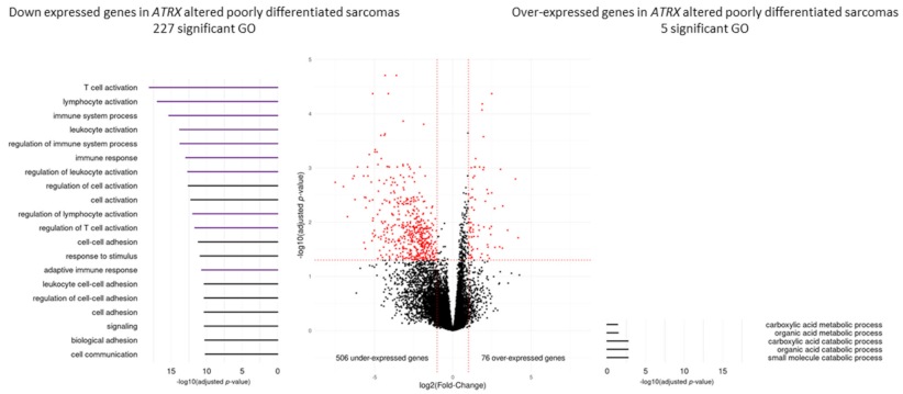 Cancers 13 02151 g004 Cancers 13 02151 g004