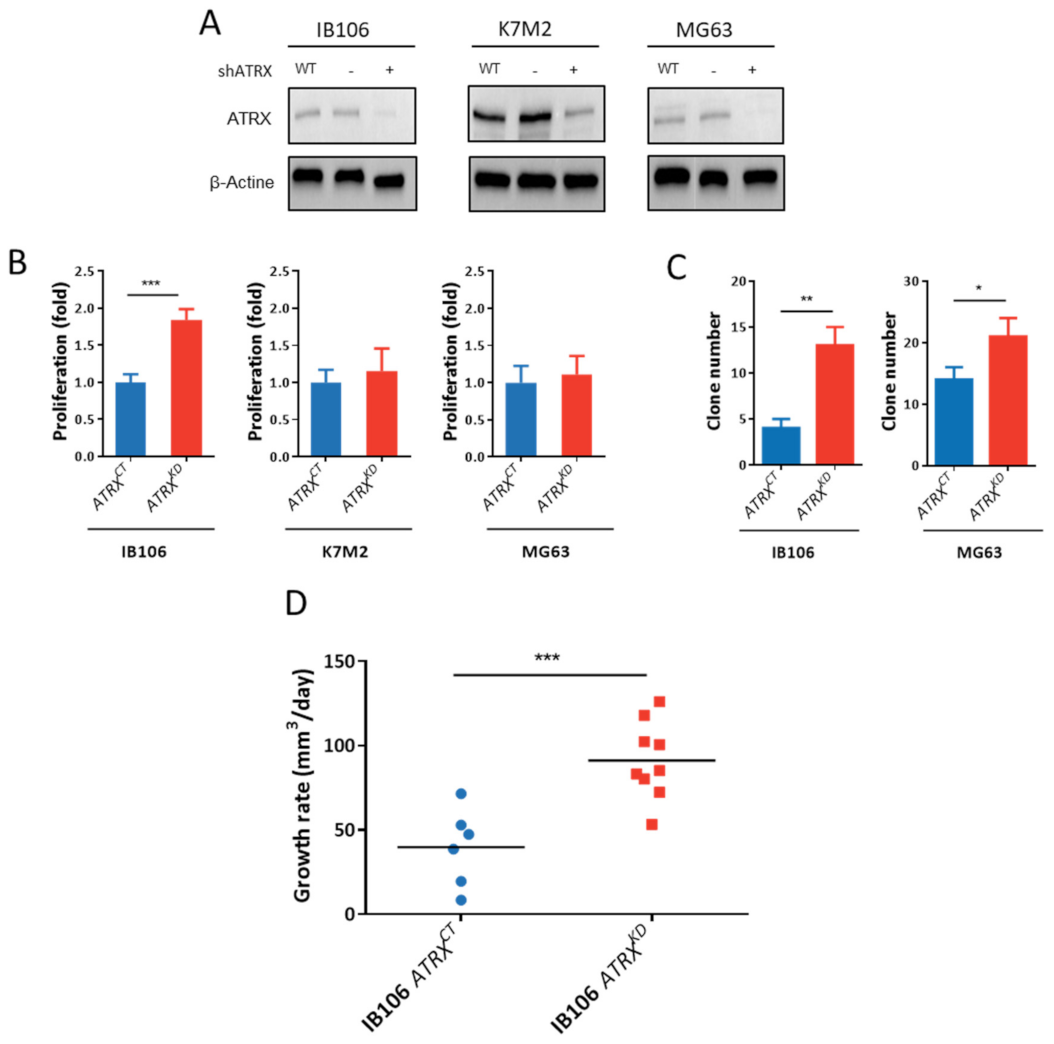 Cancers 13 02151 g005 Cancers 13 02151 g005