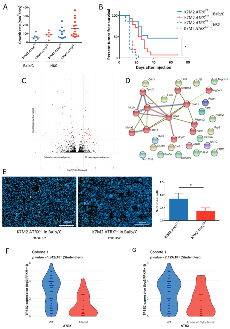 Cancers 13 02151 g006 Cancers 13 02151 g006