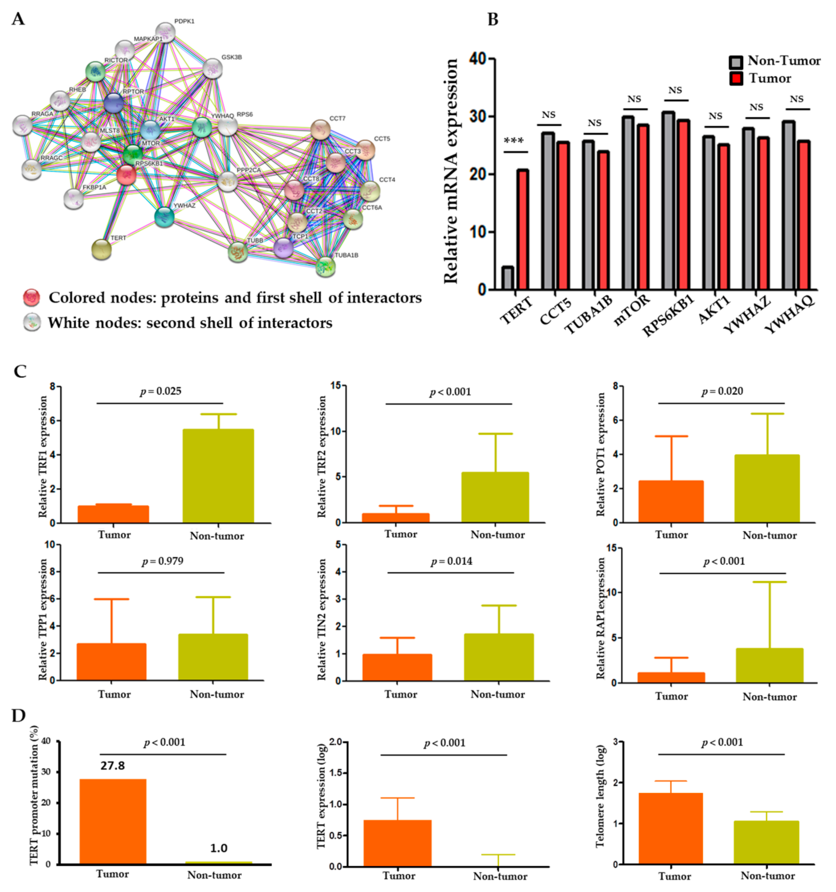Cancers 13 02160 g001 Cancers 13 02160 g001