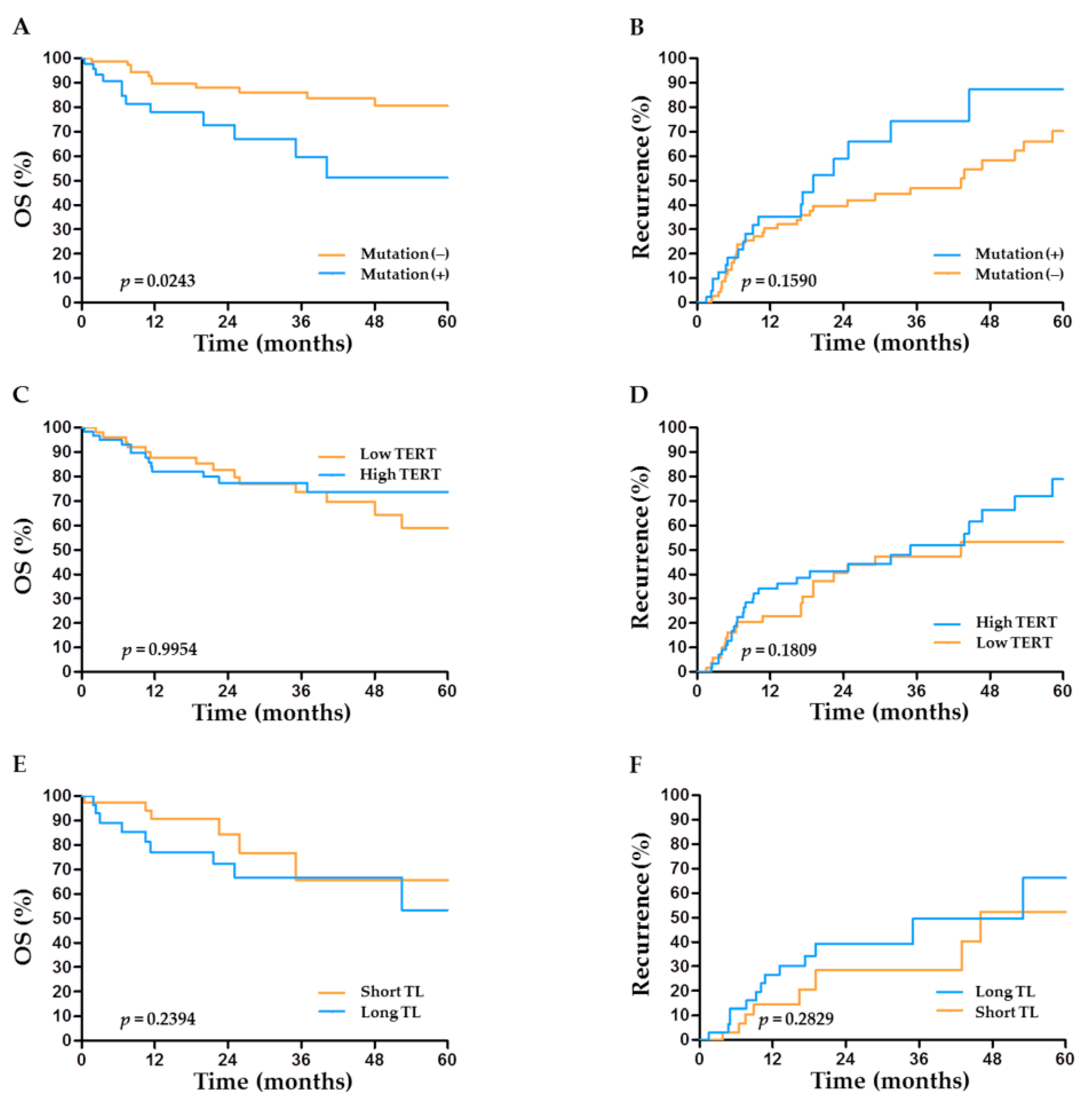 Cancers 13 02160 g003 Cancers 13 02160 g003
