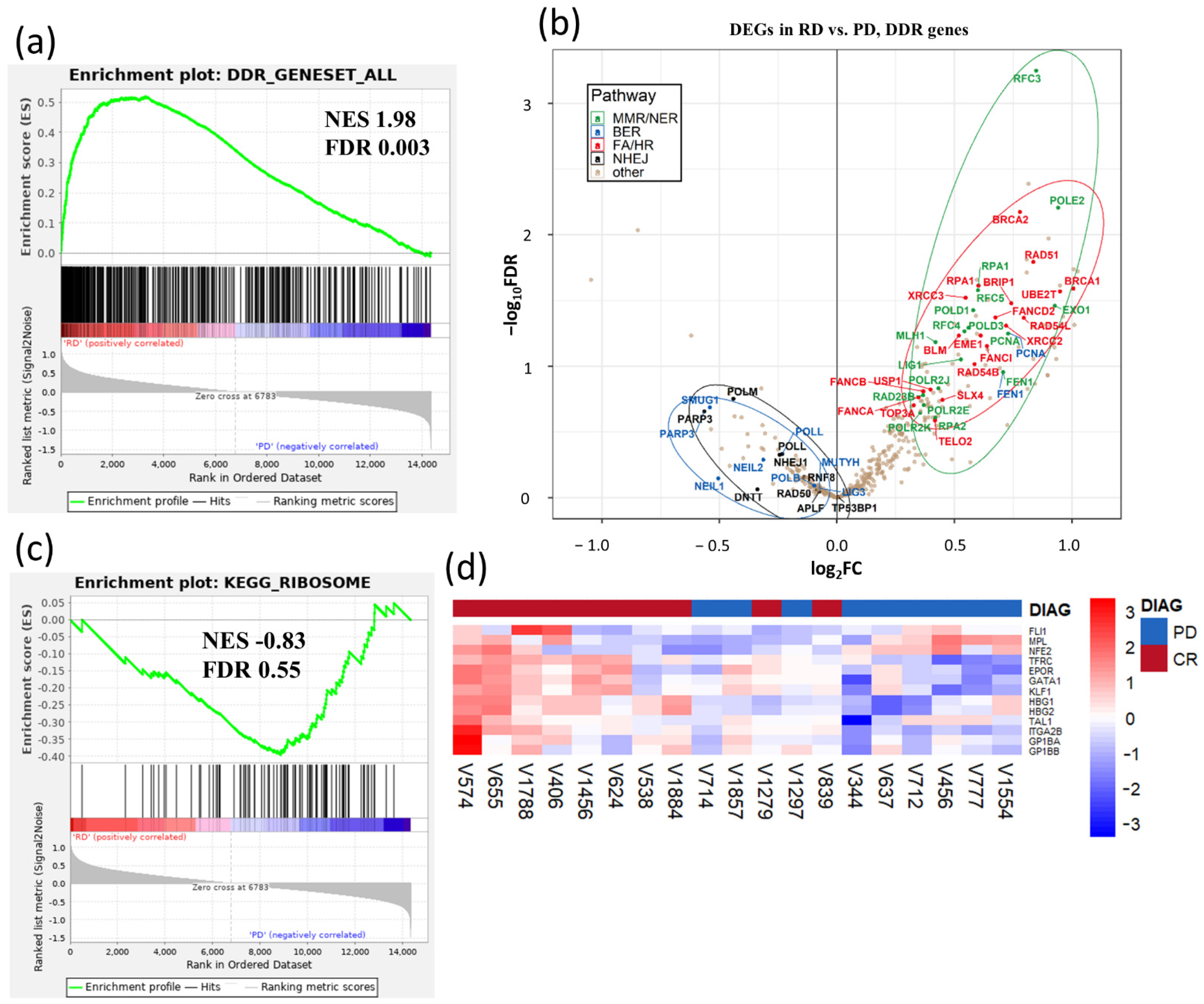 Cancers 13 02161 g003