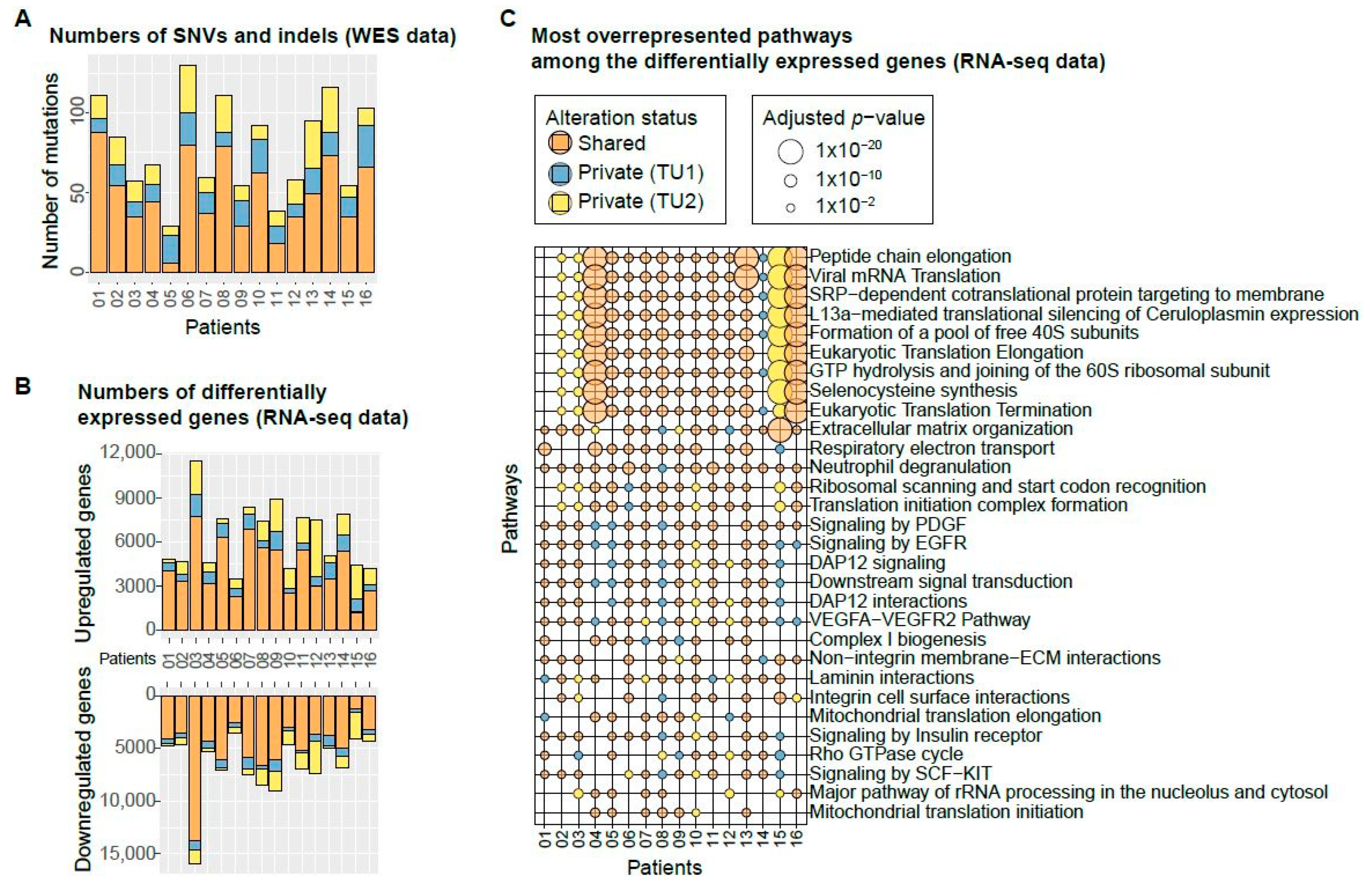 Cancers 13 02163 g002
