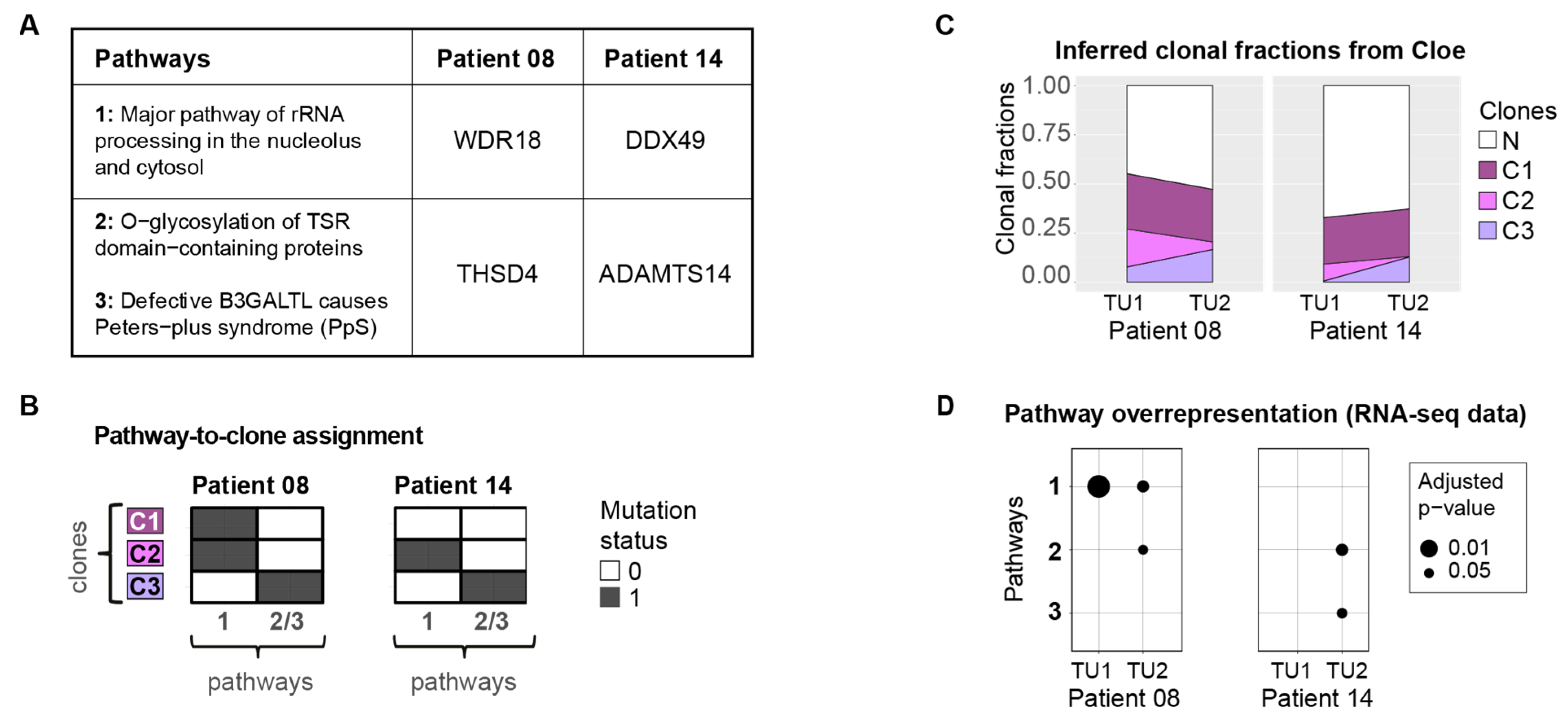Cancers 13 02163 g004