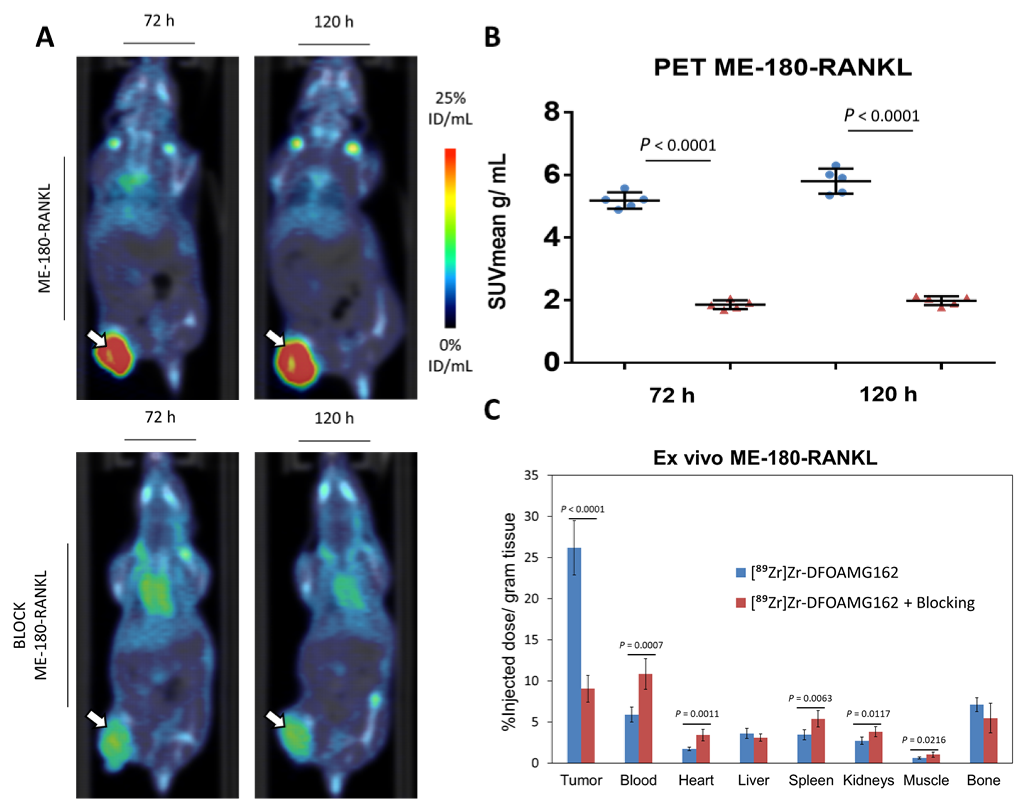 Cancers 13 02166 g002 Cancers 13 02166 g002