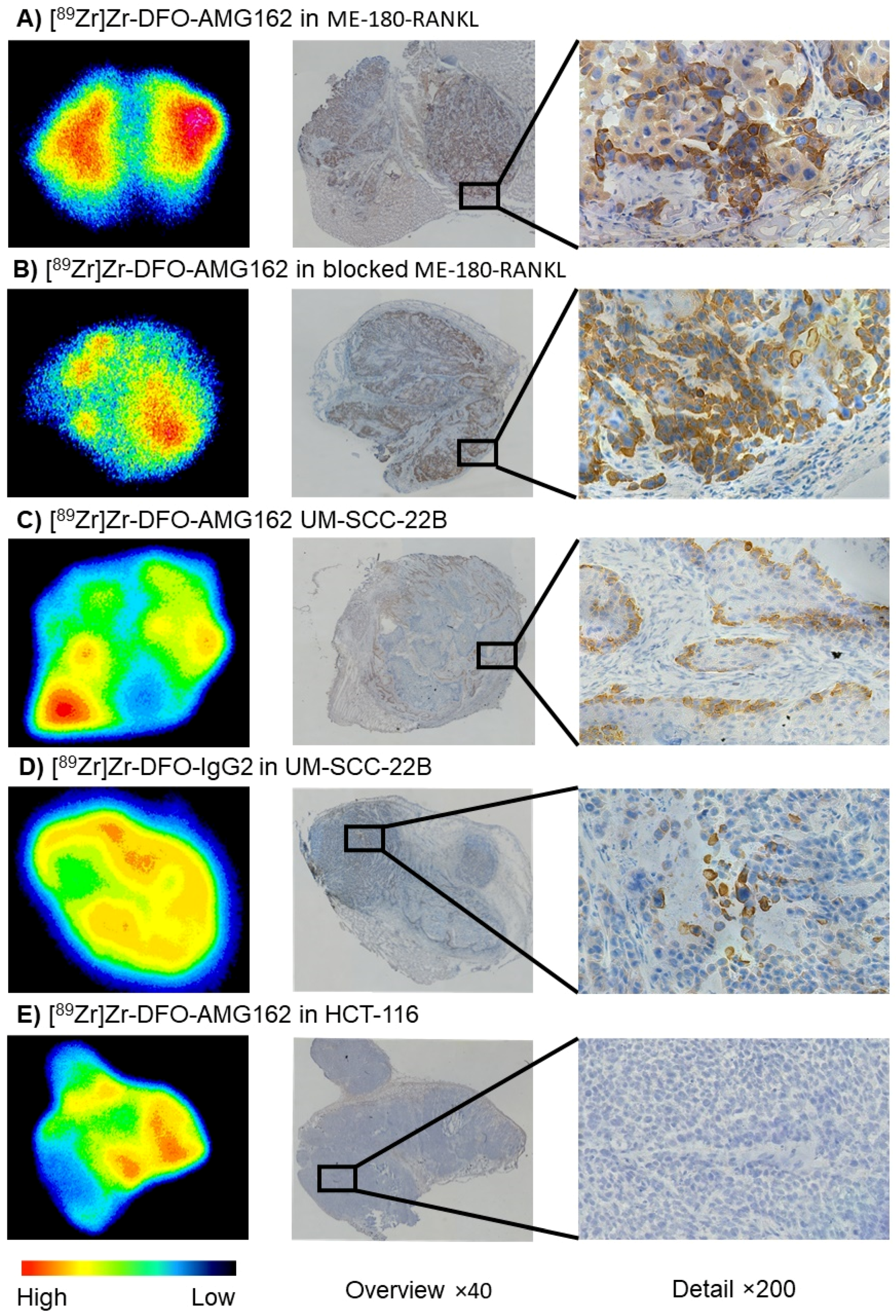Cancers 13 02166 g004 Cancers 13 02166 g004