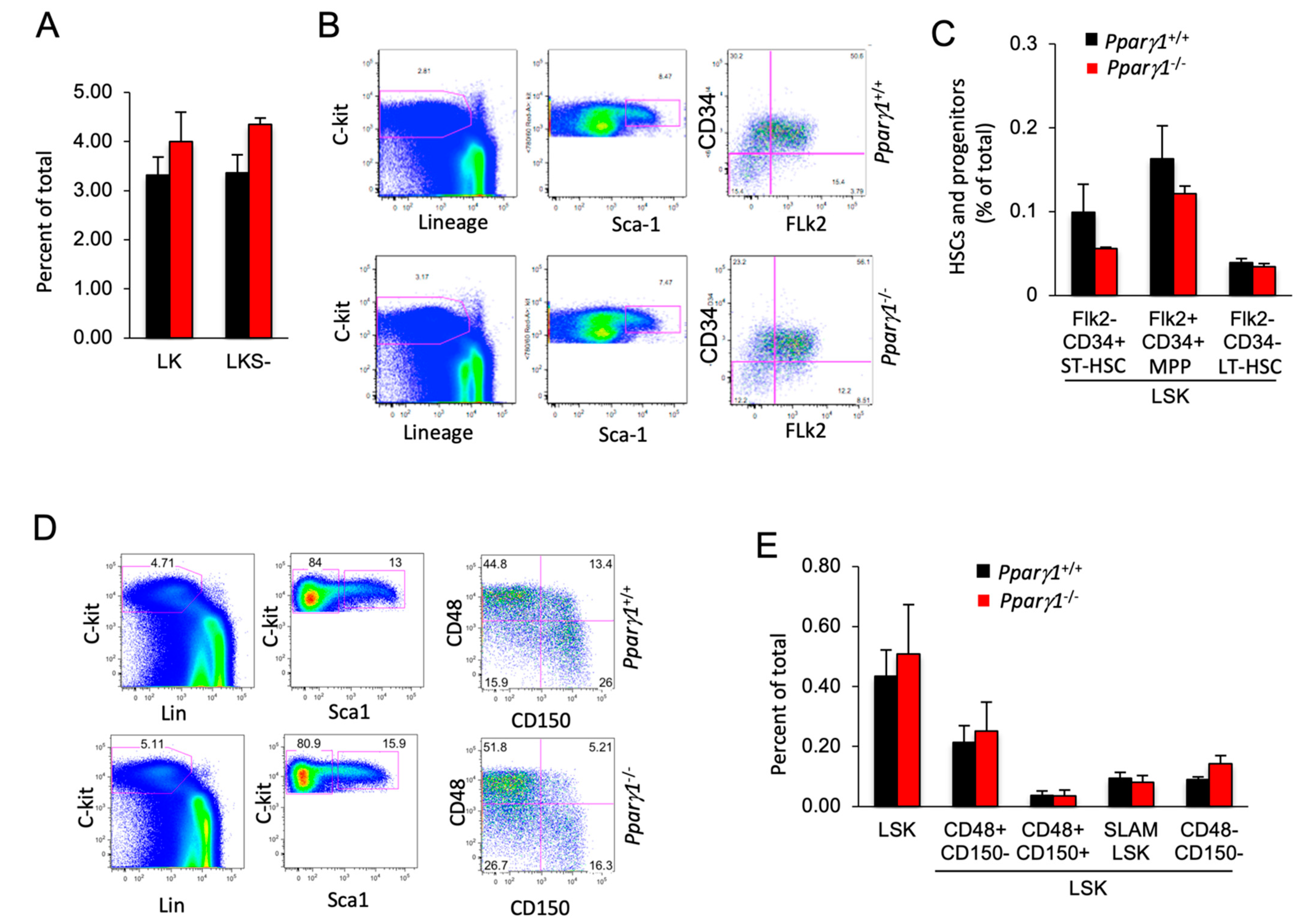 Cancers 13 02171 g005 Cancers 13 02171 g005