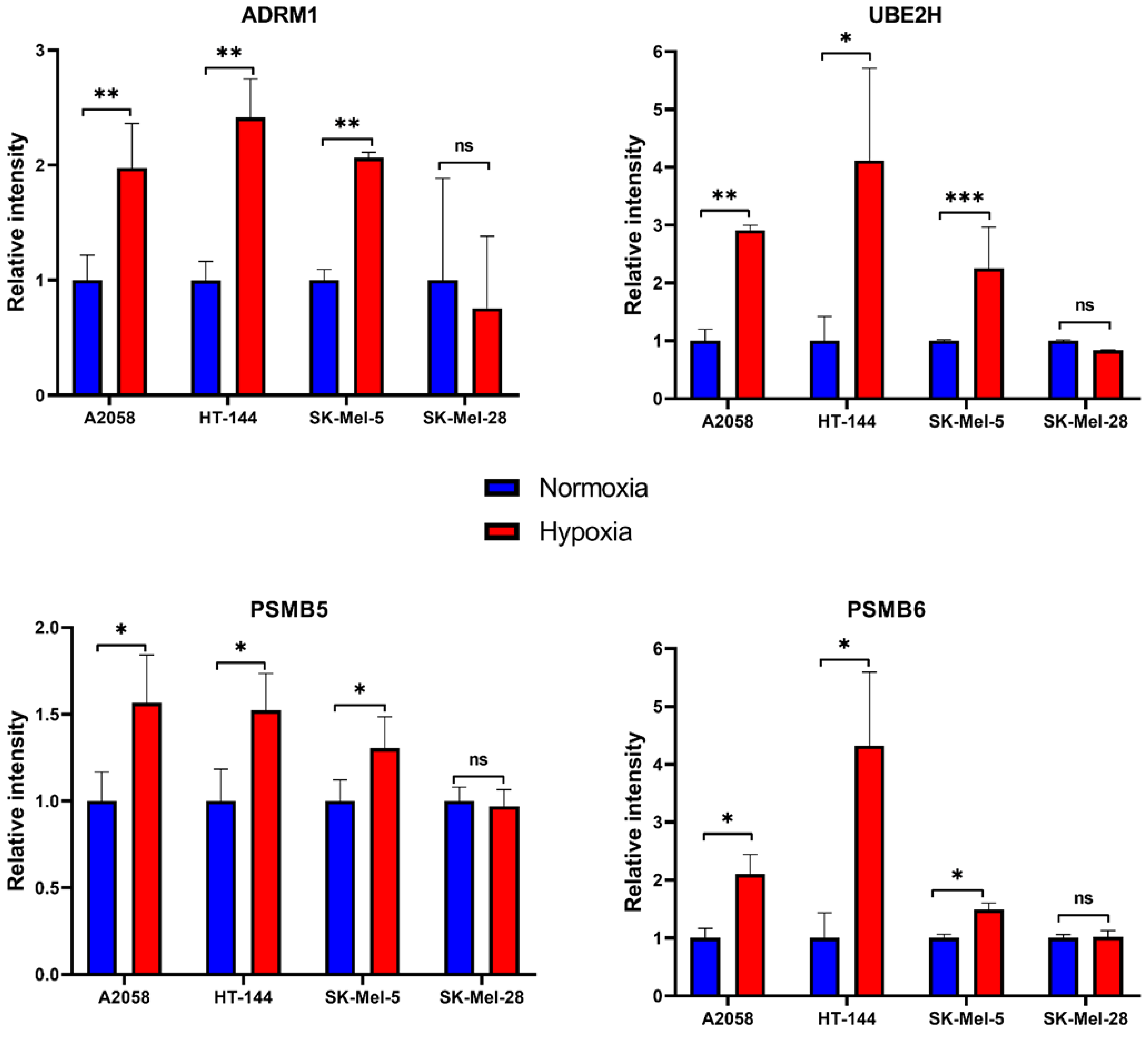 Cancers 13 02175 g005