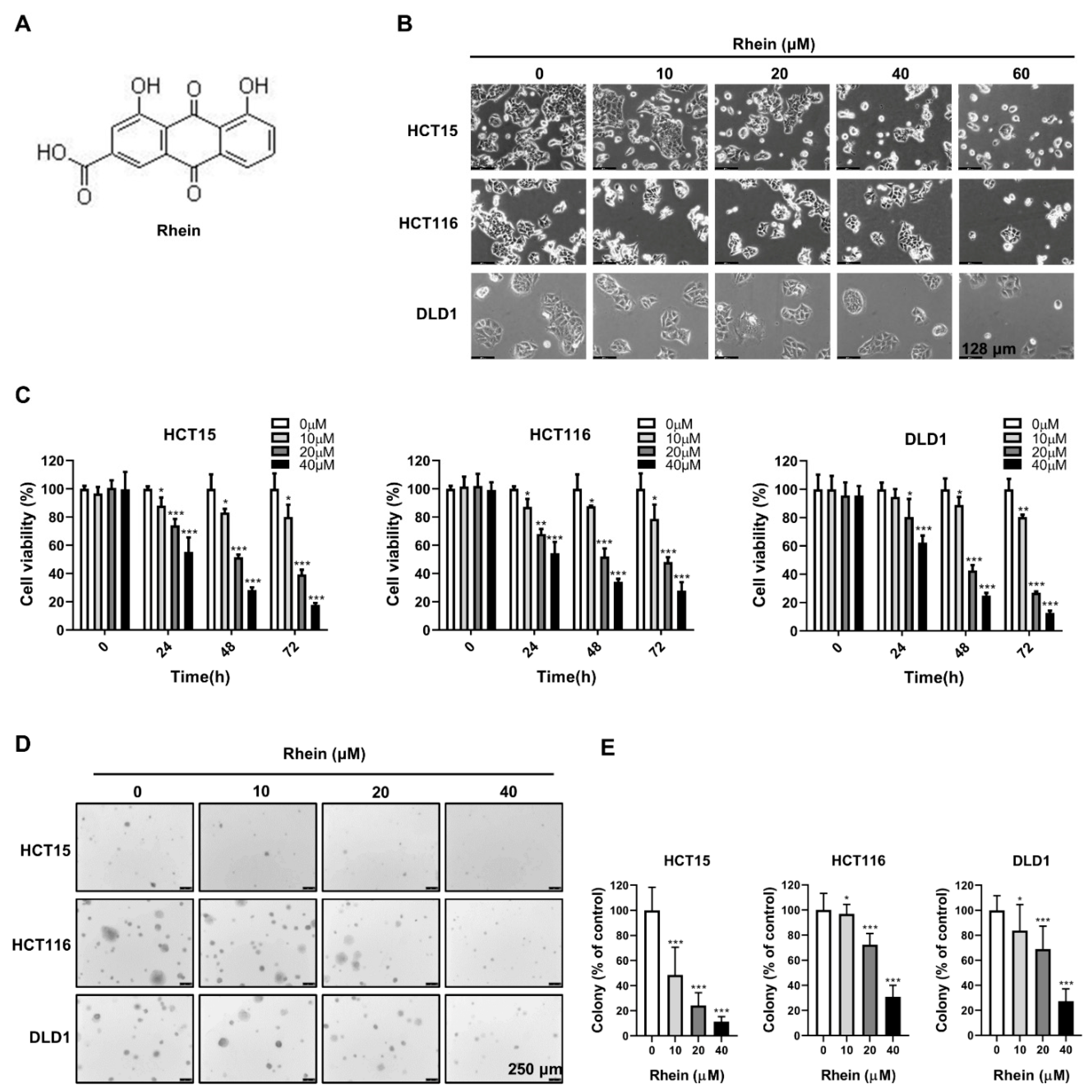 Cancers 13 02176 g001