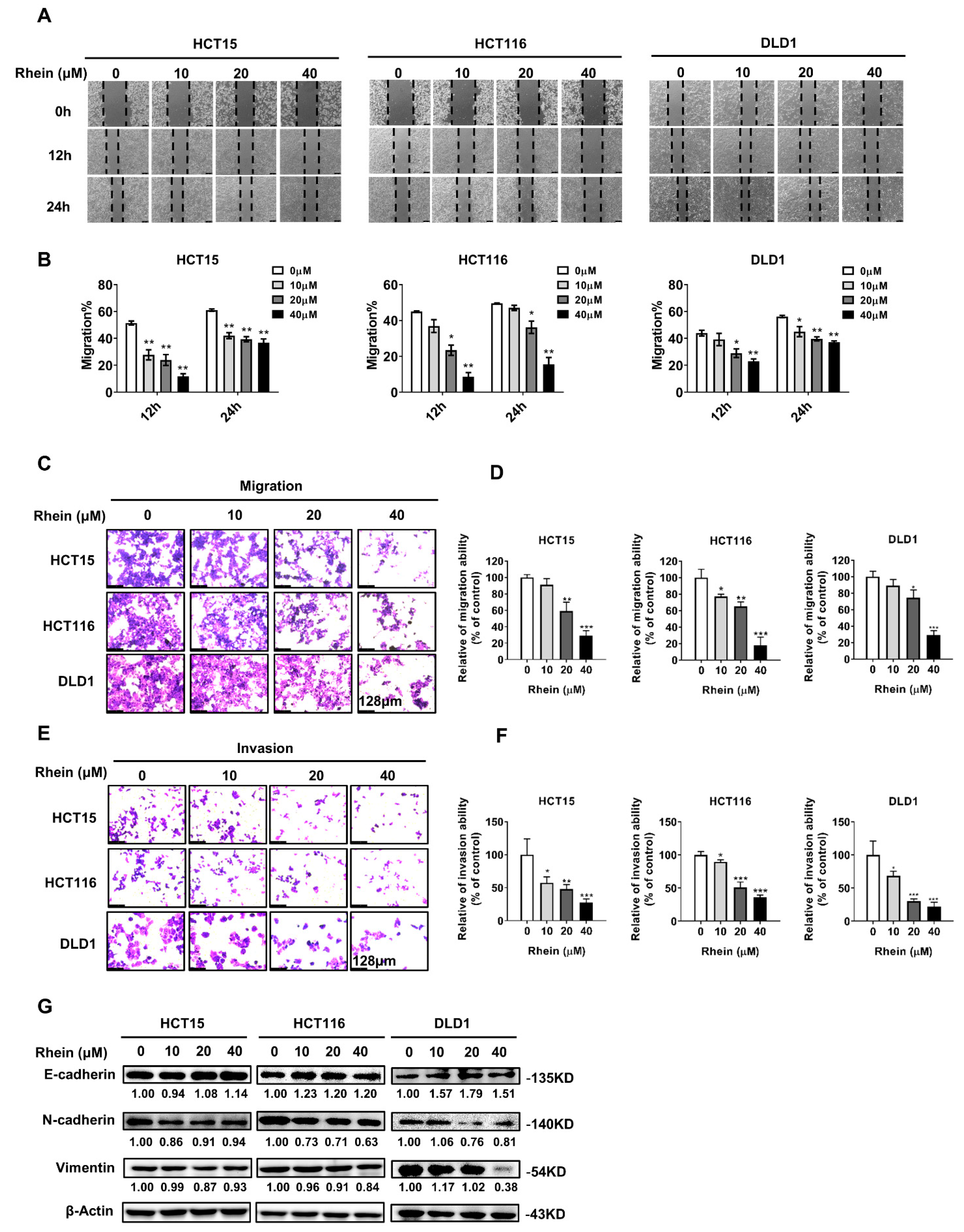 Cancers 13 02176 g002