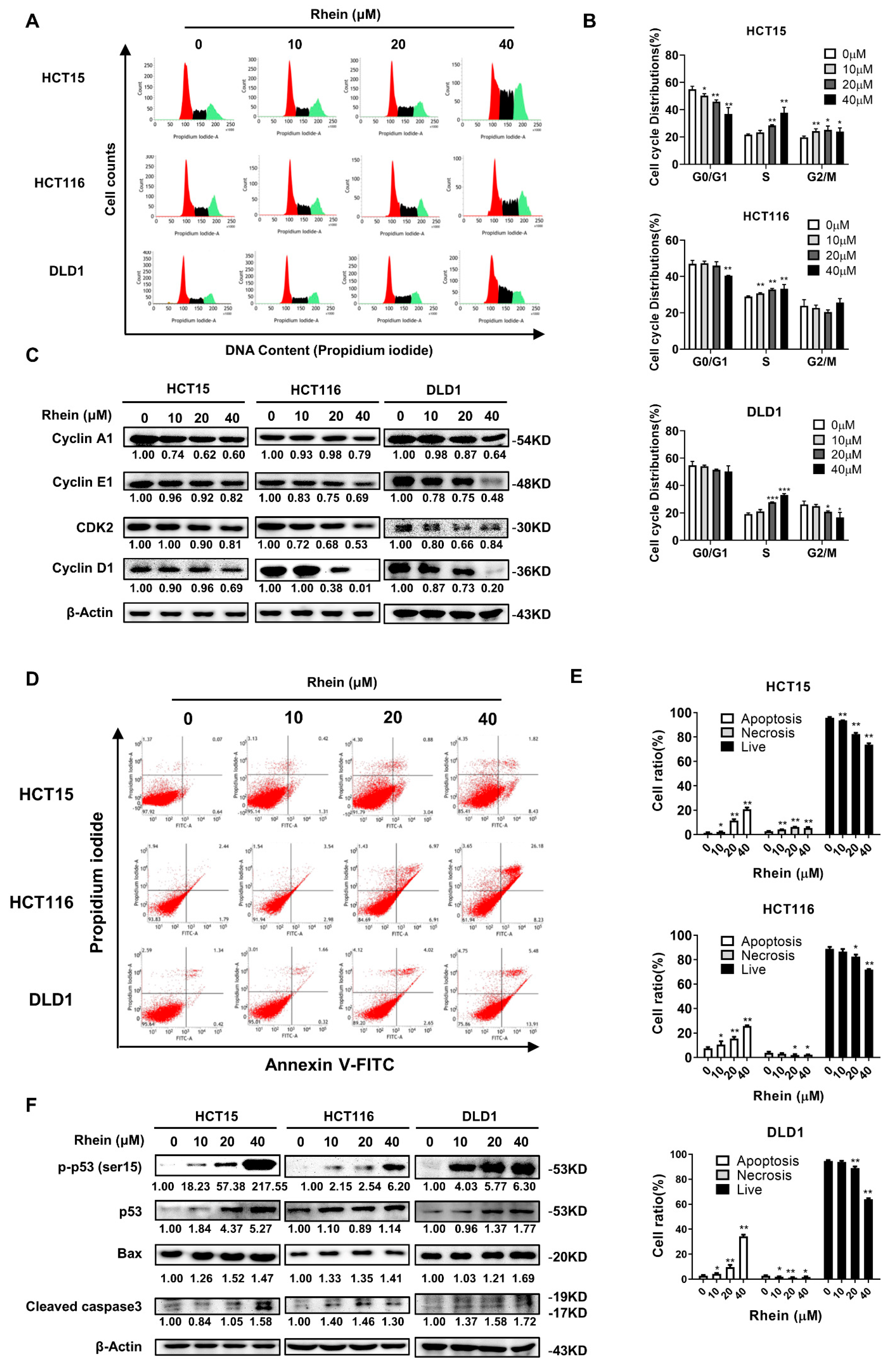Cancers 13 02176 g003