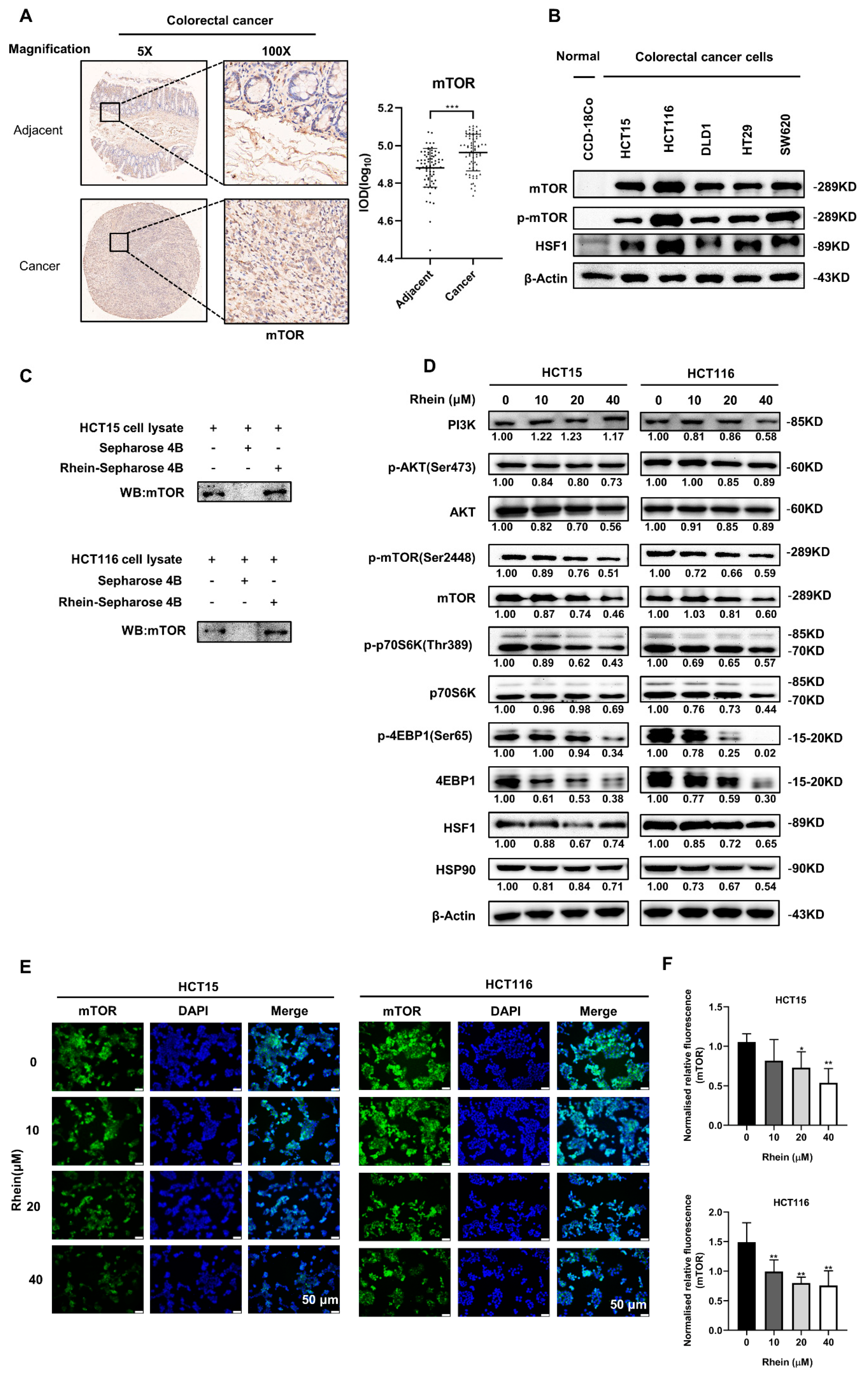Cancers 13 02176 g004