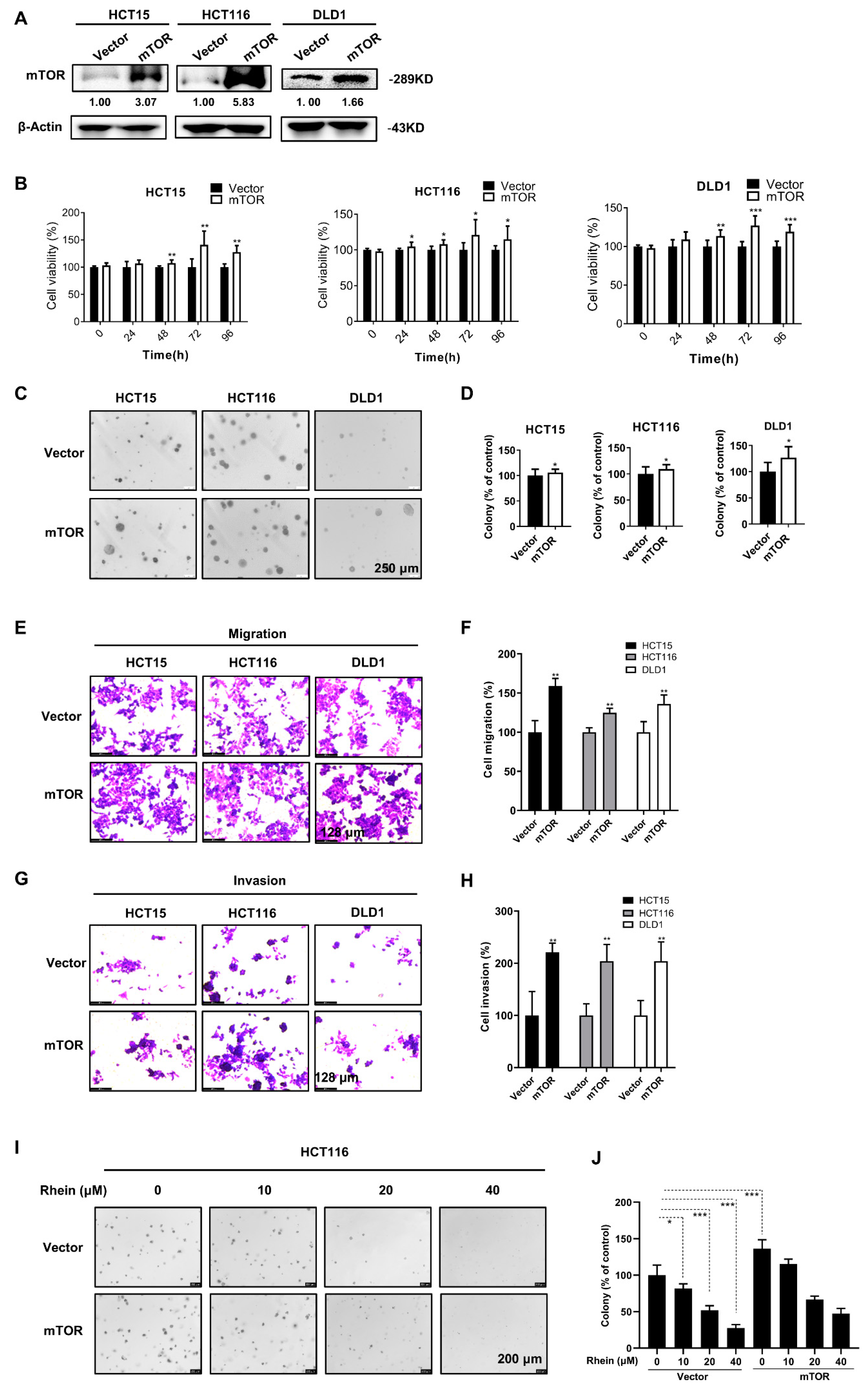 Cancers 13 02176 g006