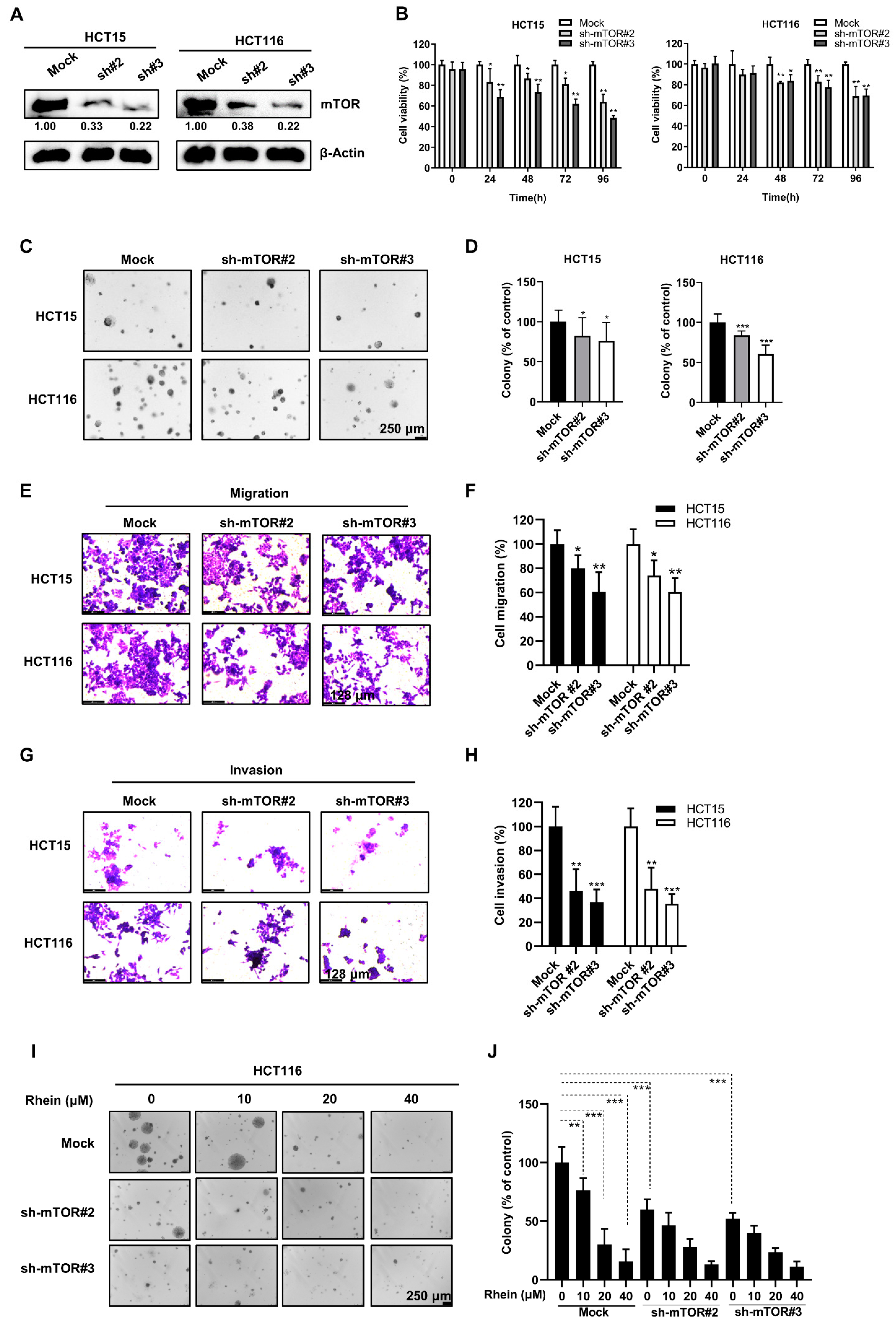 Cancers 13 02176 g007