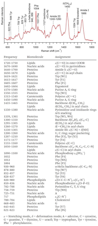 Cancers 13 02179 g003