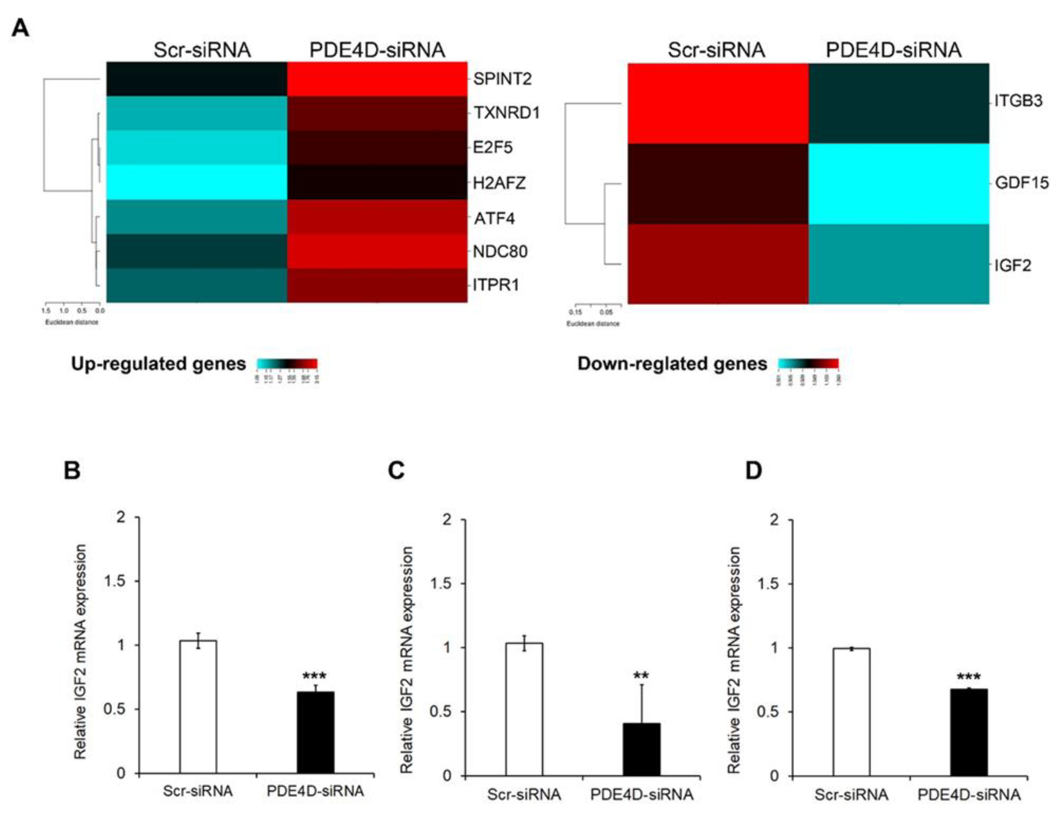Cancers 13 02182 g005 Cancers 13 02182 g005