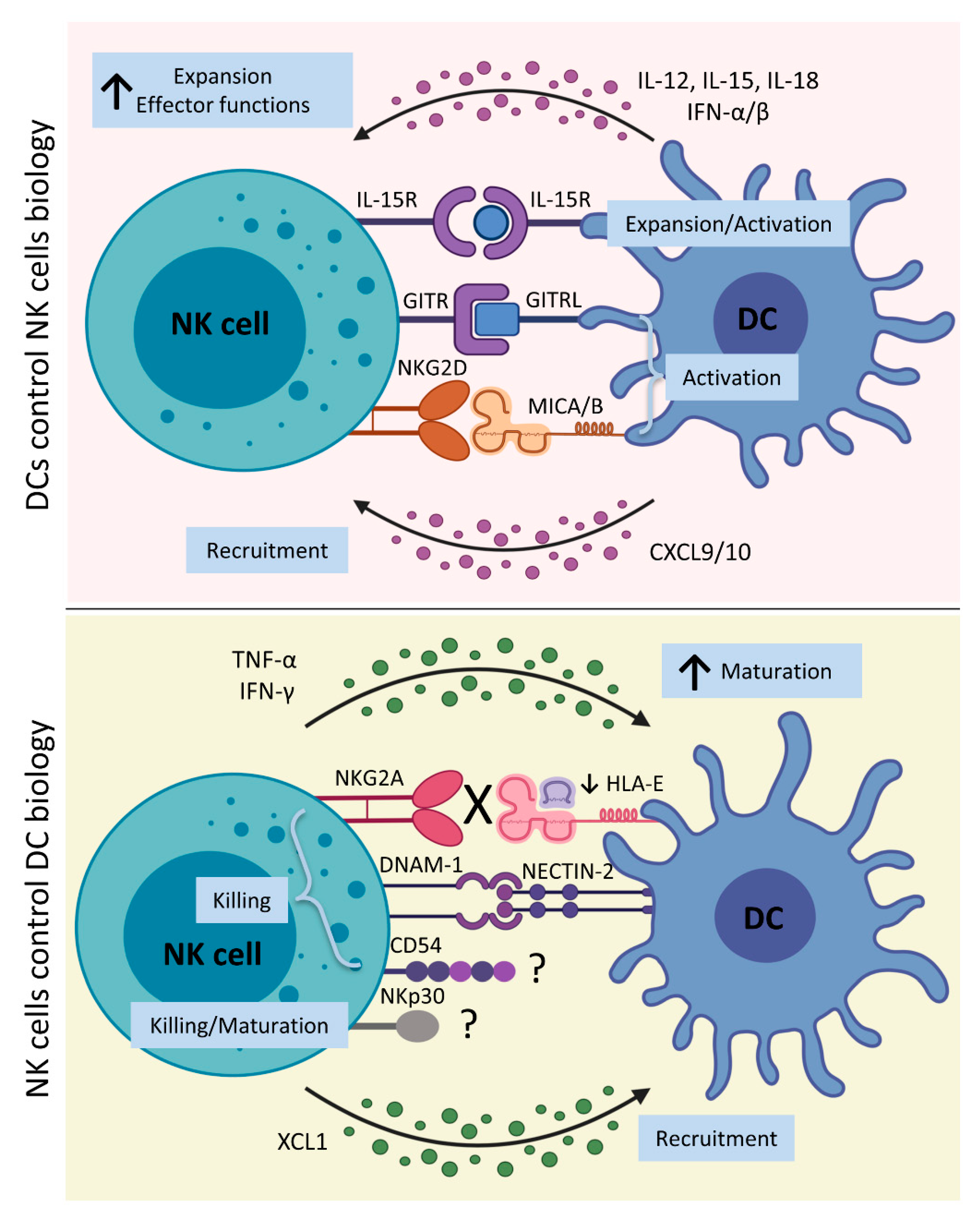 Cancers 13 02184 g001