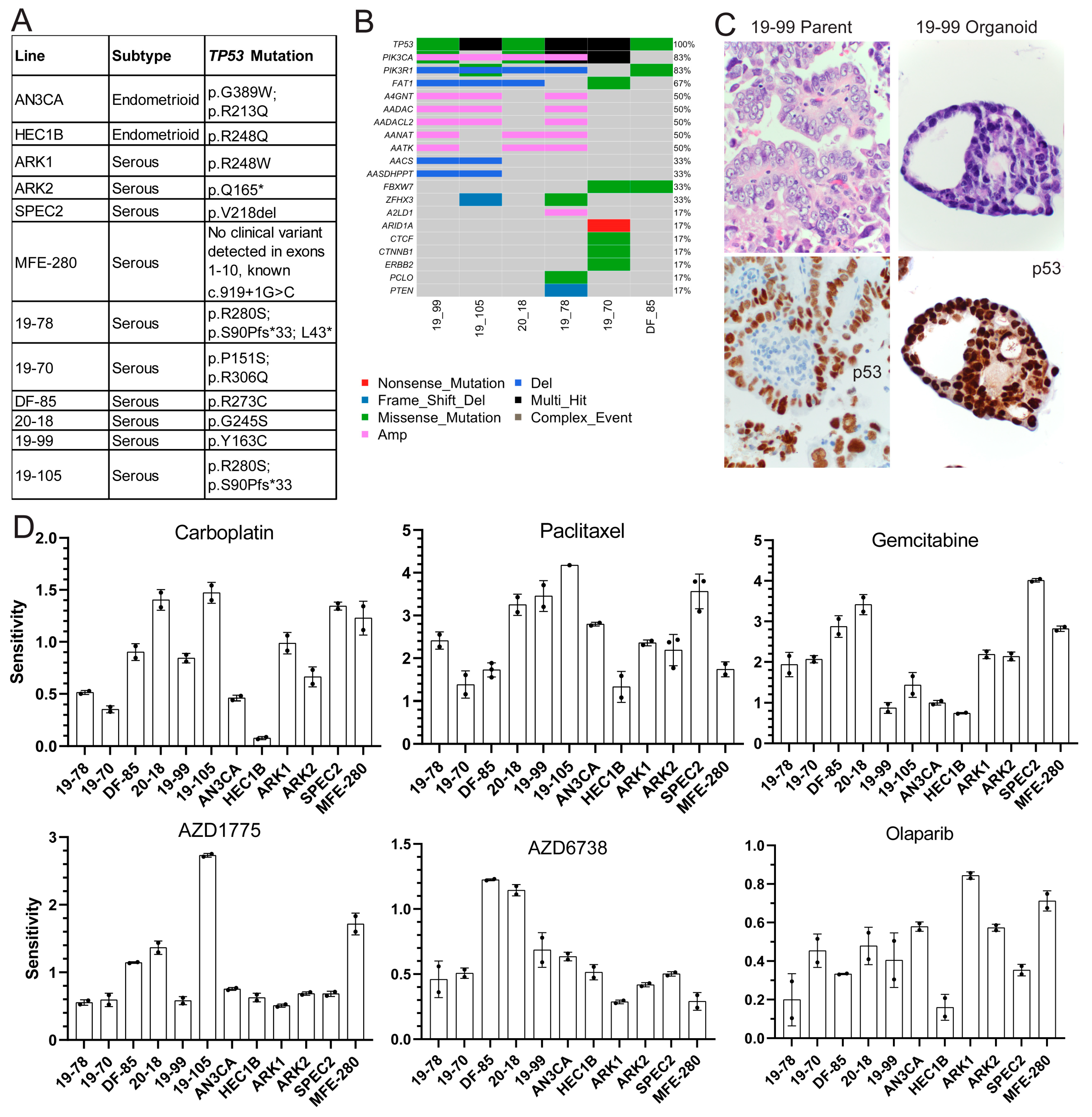 Cancers 13 02195 g001