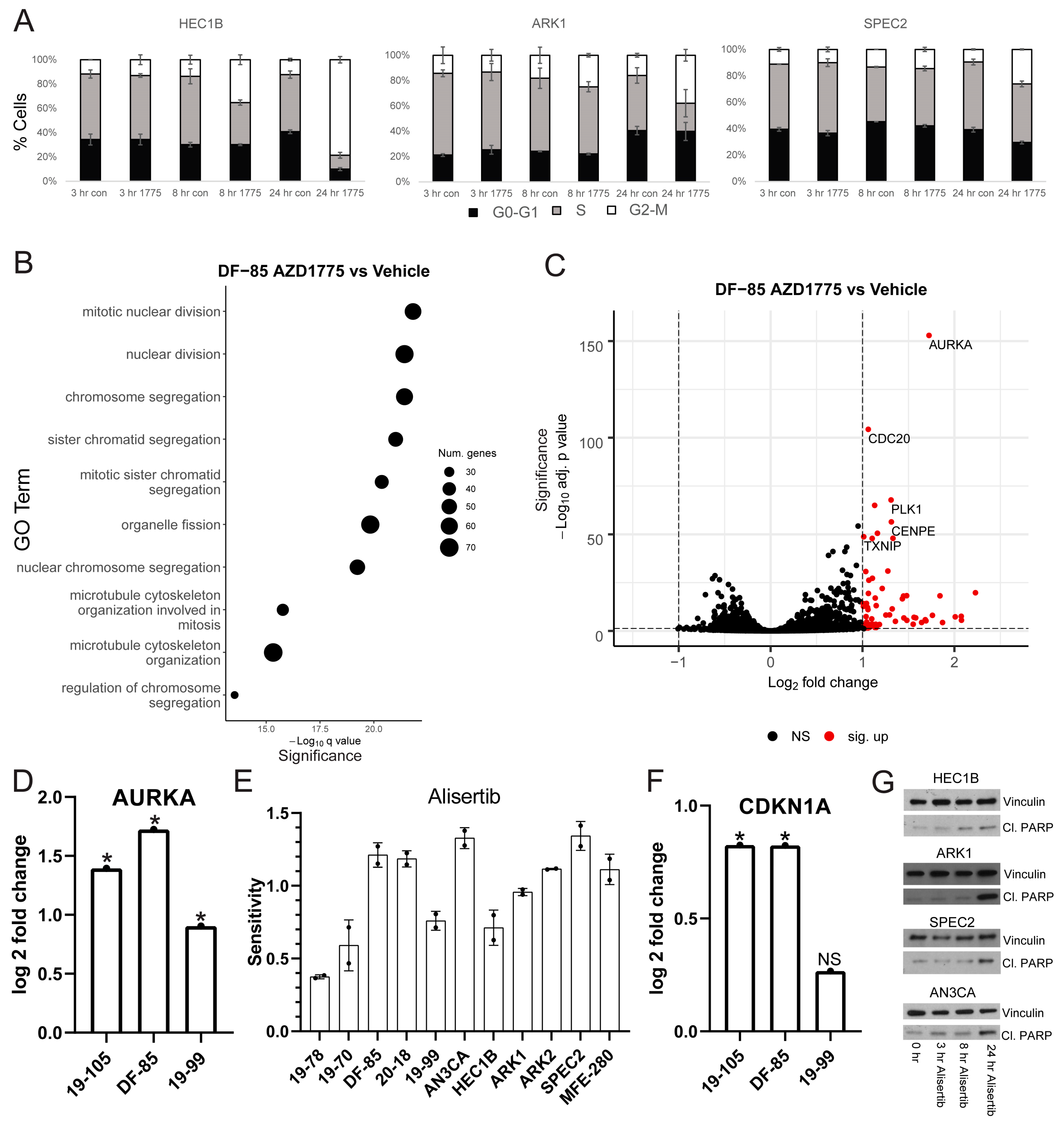 Cancers 13 02195 g002