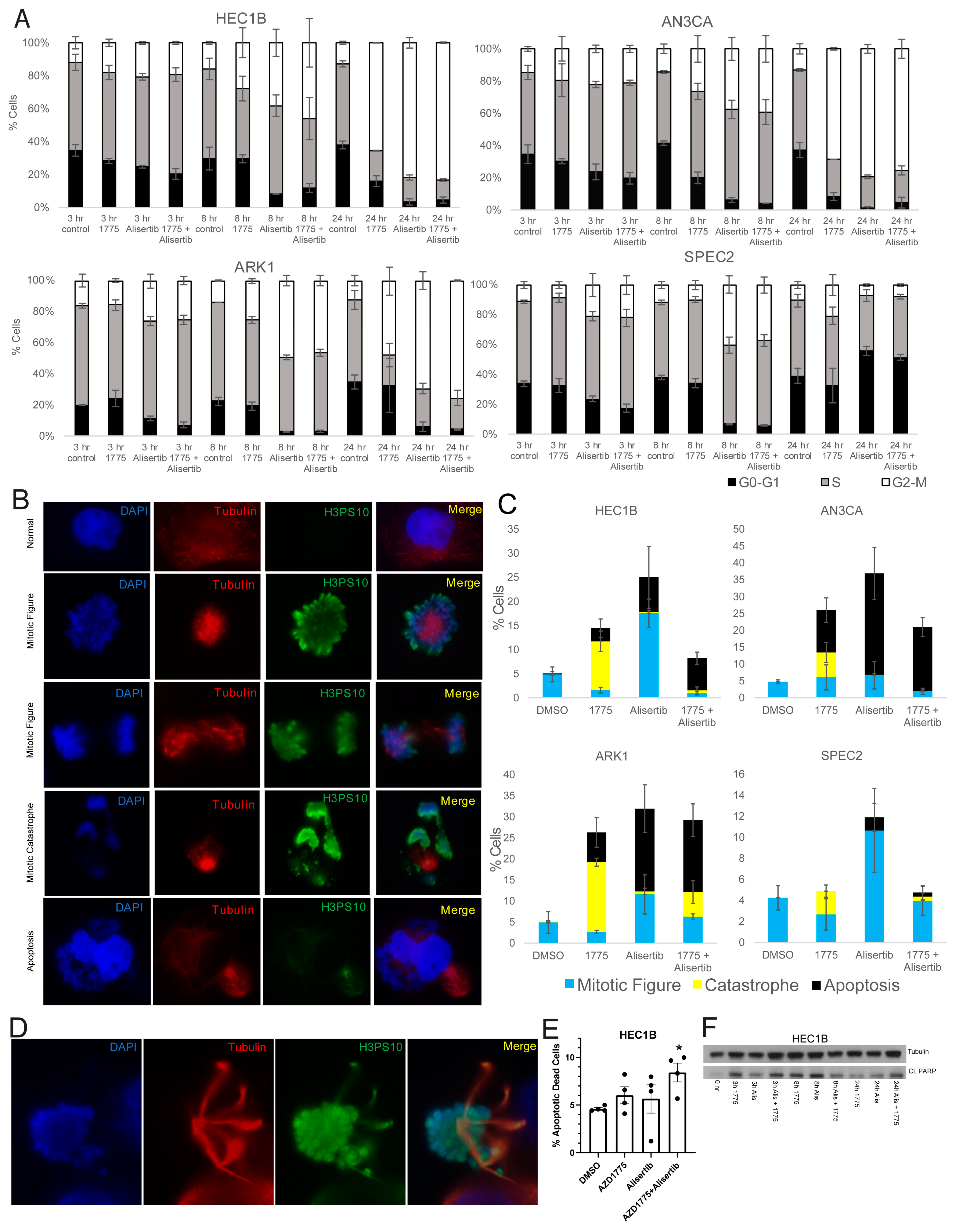 Cancers 13 02195 g005