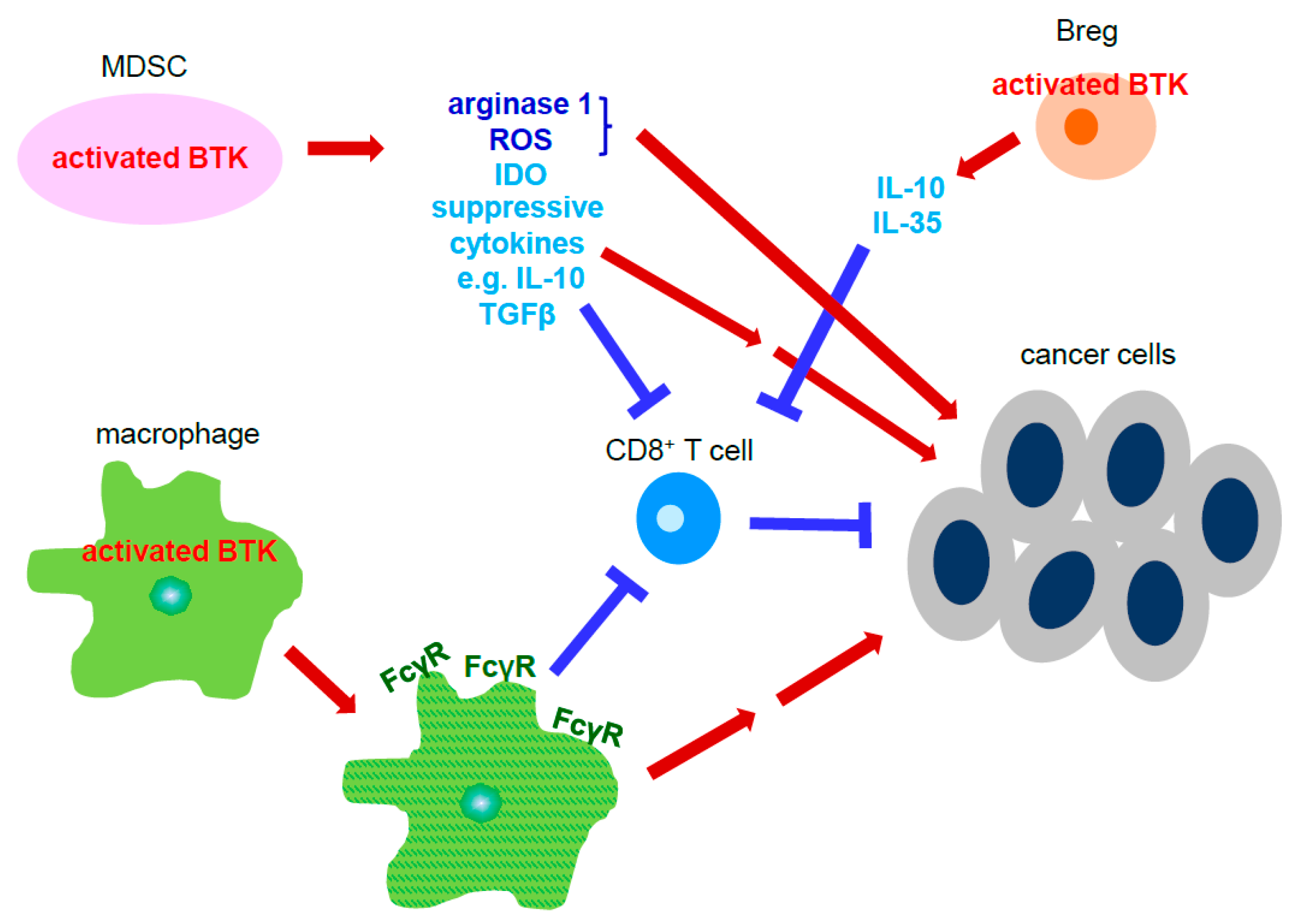 Cancers 13 02198 g003 Cancers 13 02198 g003