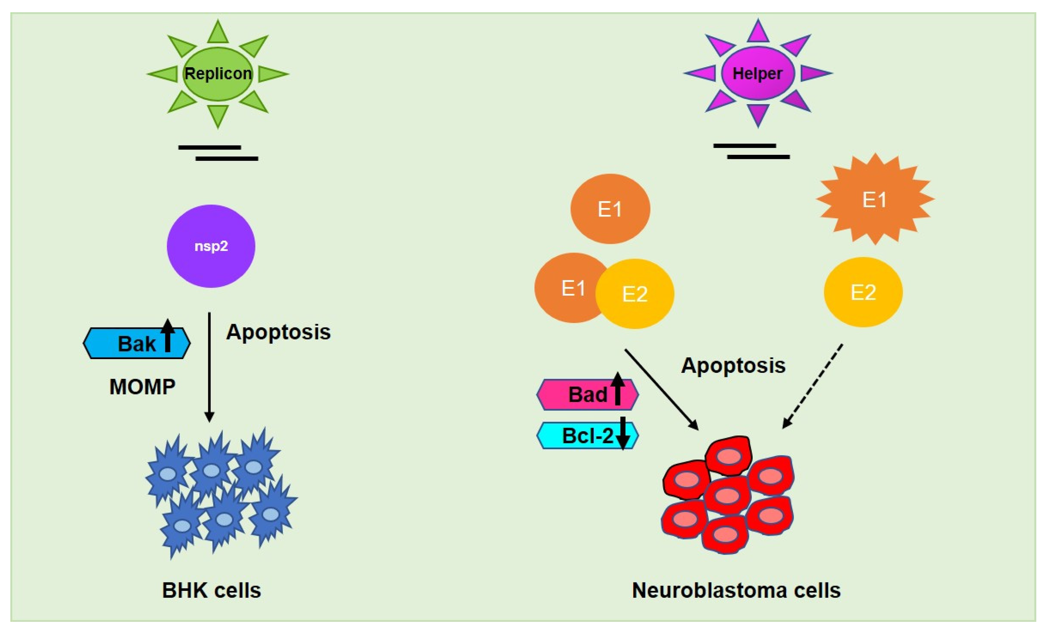 Cancers 13 02199 g005