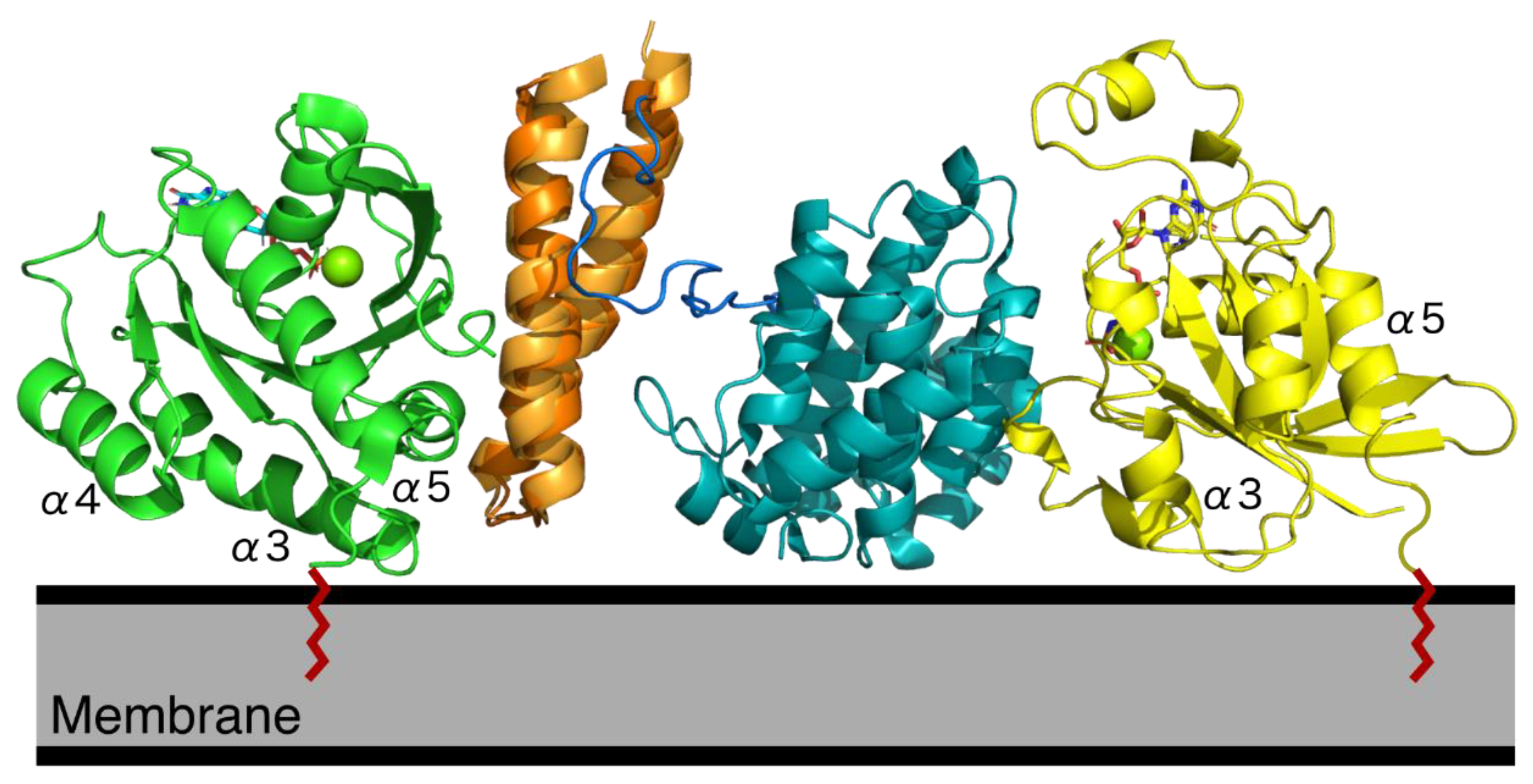 Cancers 13 02206 g003