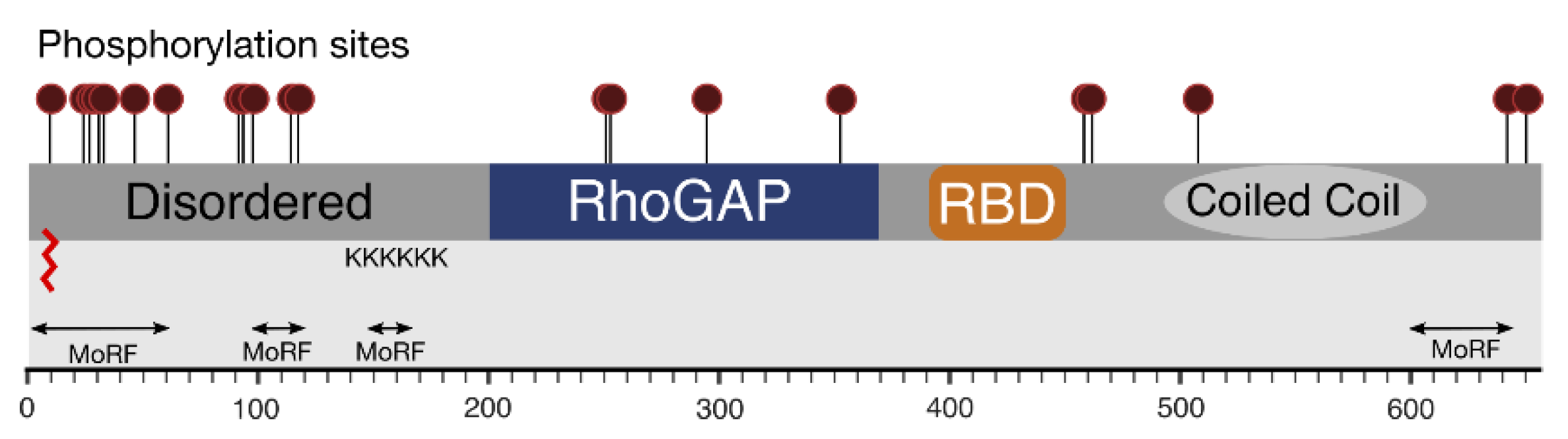 Cancers 13 02206 g006