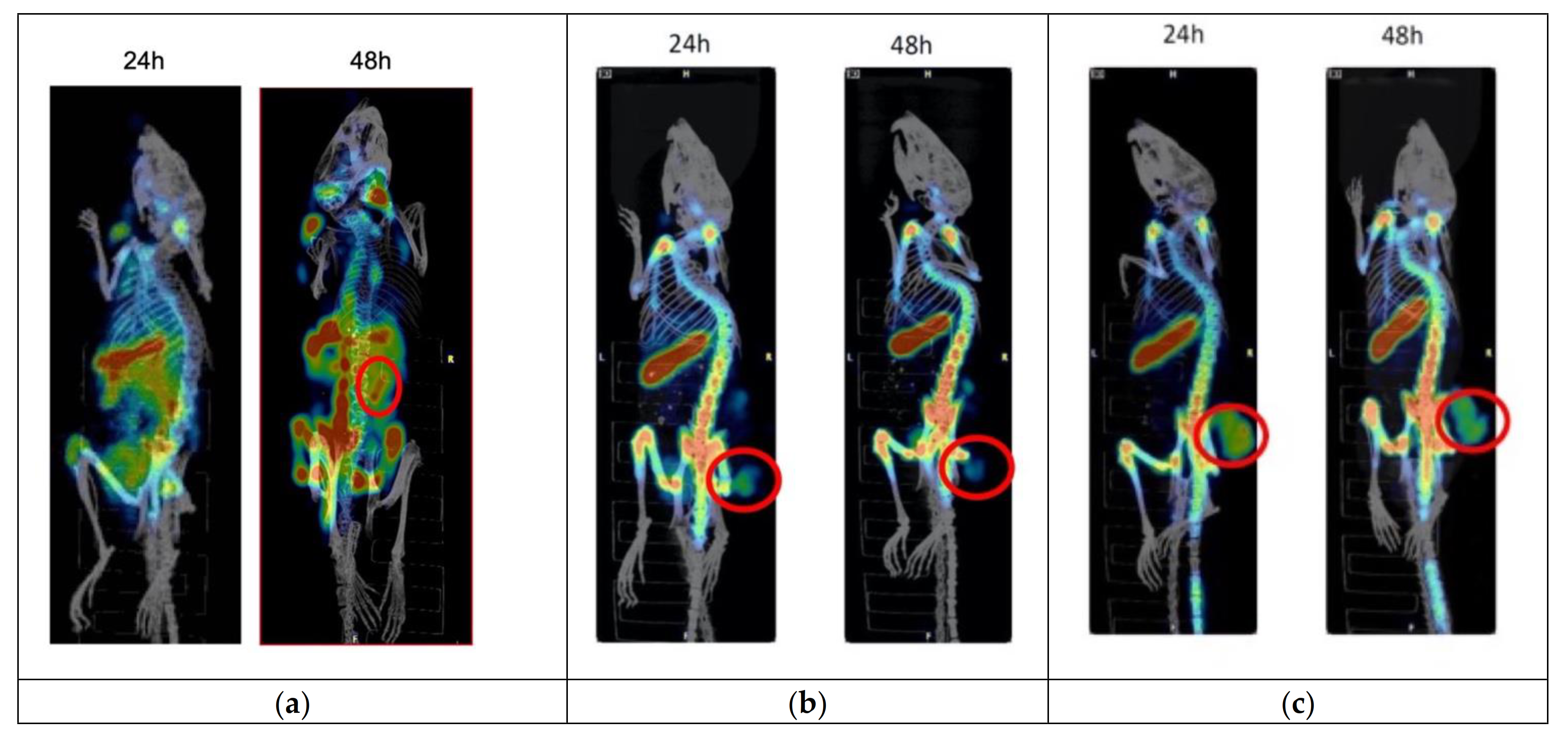 Cancers 13 02208 g009