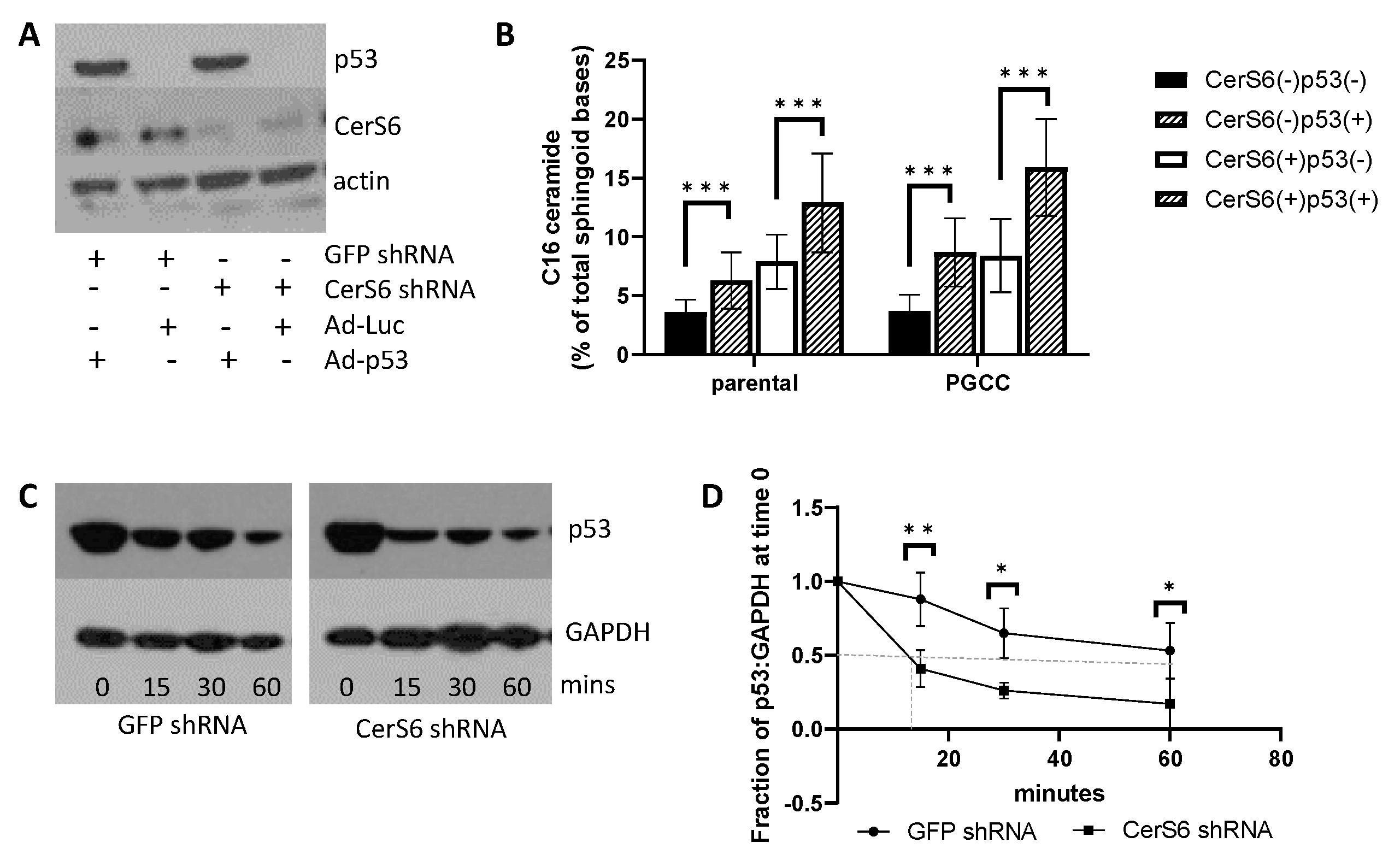 Cancers 13 02212 g003 Cancers 13 02212 g003