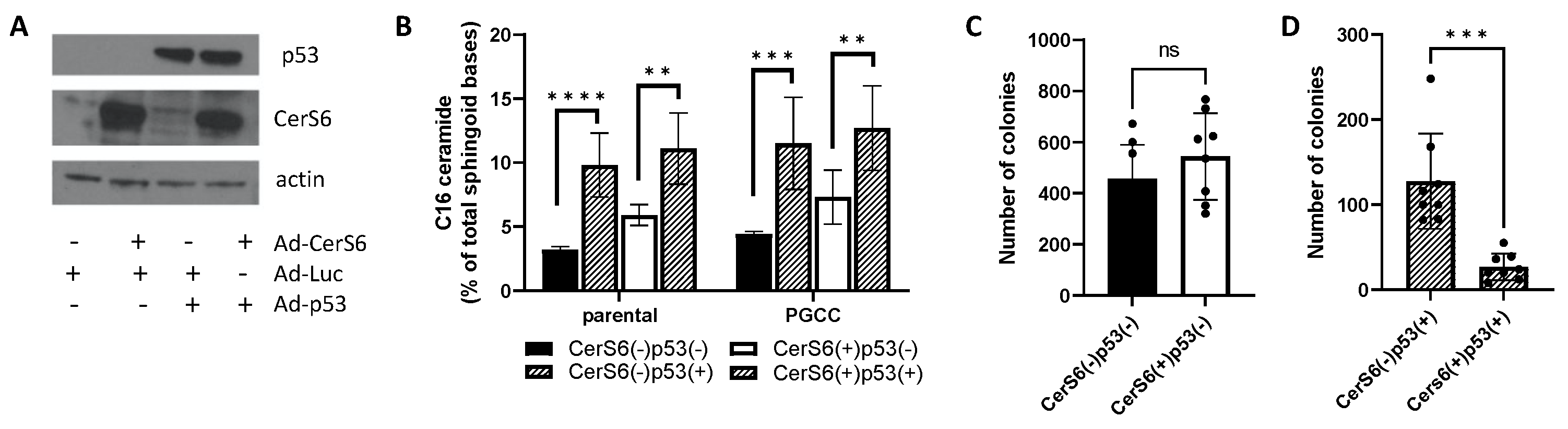 Cancers 13 02212 g005 Cancers 13 02212 g005