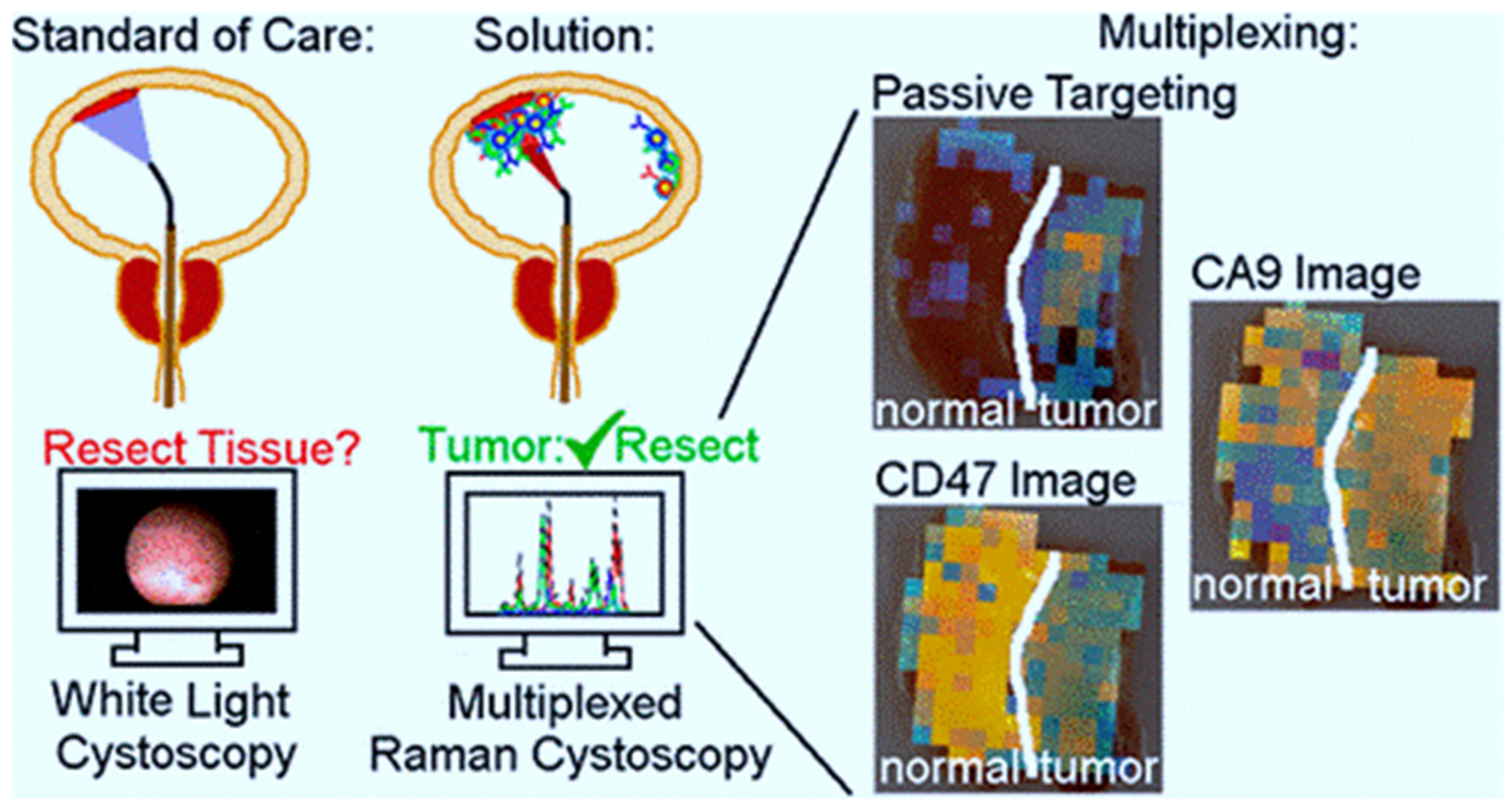 Cancers 13 02214 g001 Cancers 13 02214 g001