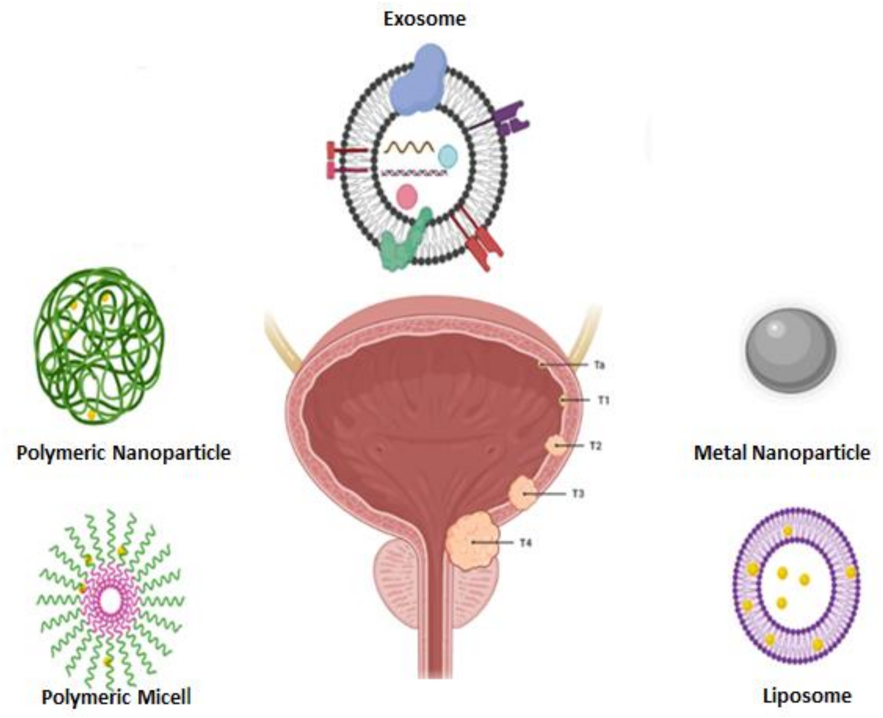 Cancers 13 02214 g003 Cancers 13 02214 g003
