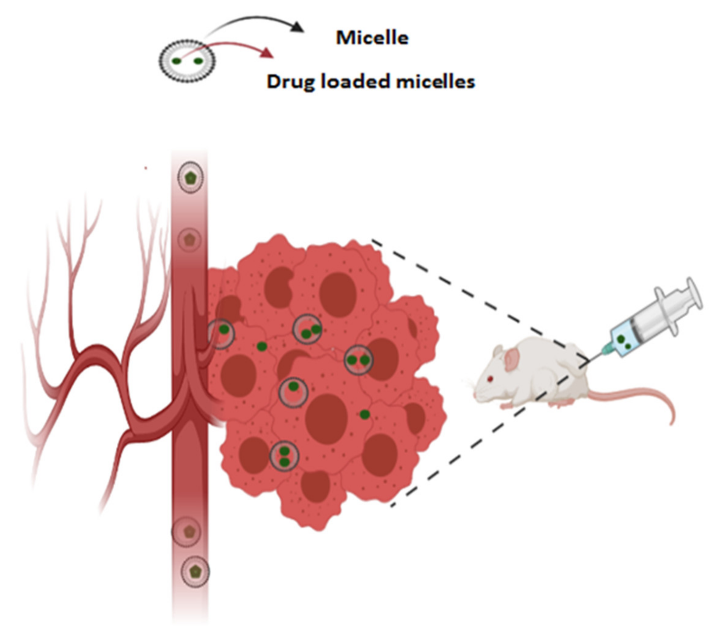 Cancers 13 02214 g005 Cancers 13 02214 g005