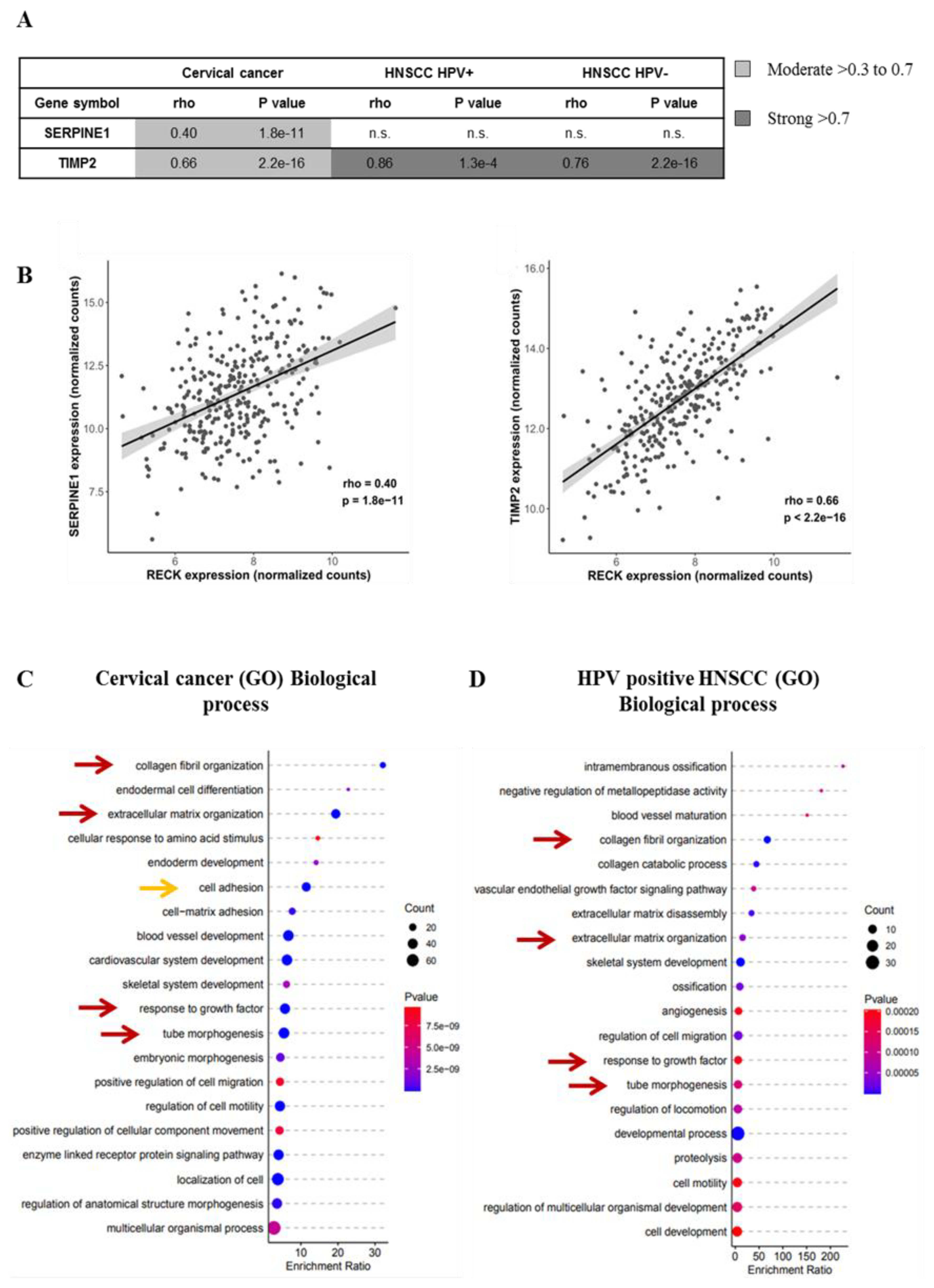 Cancers 13 02217 g006 Cancers 13 02217 g006
