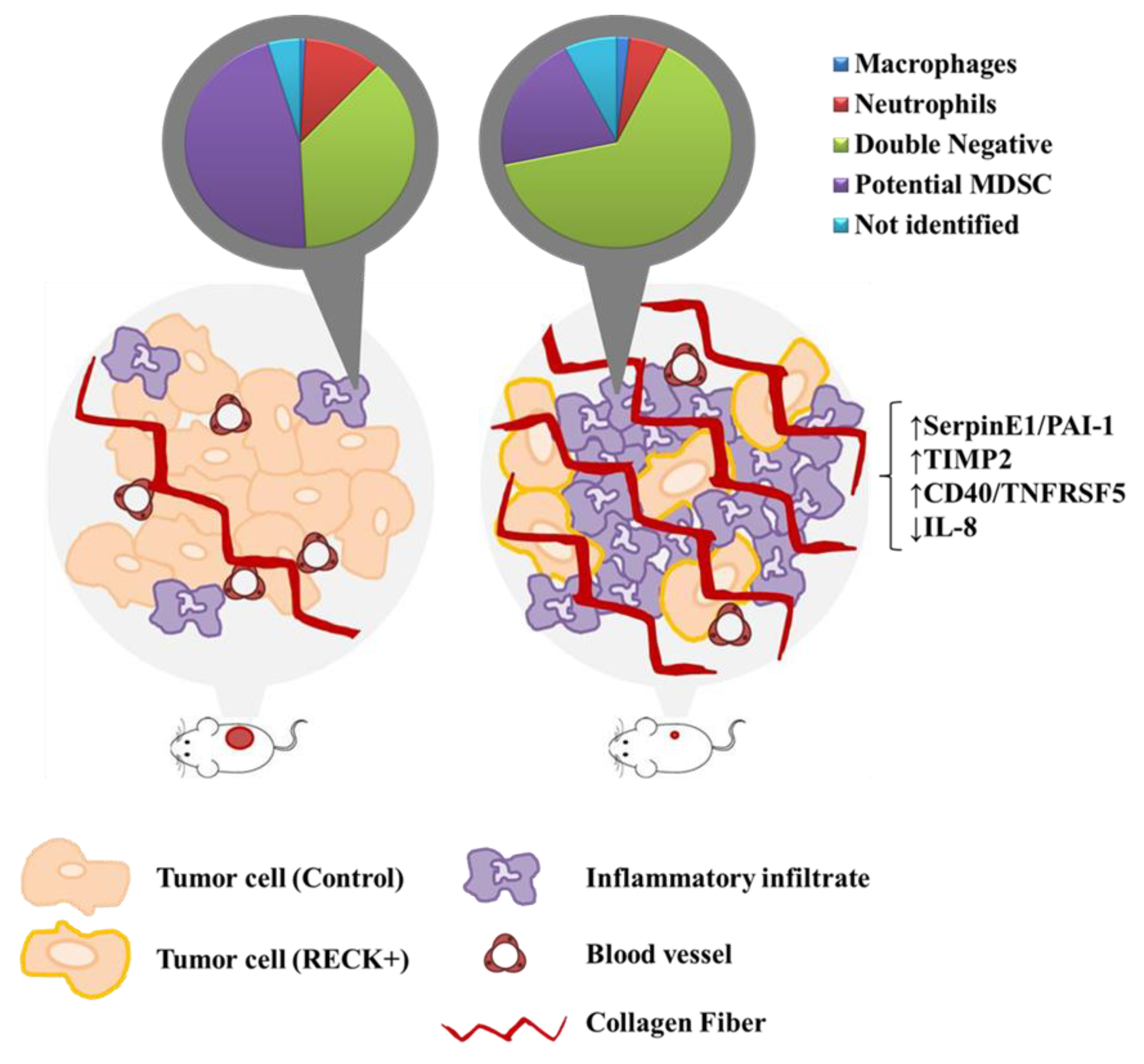 Cancers 13 02217 g008 Cancers 13 02217 g008