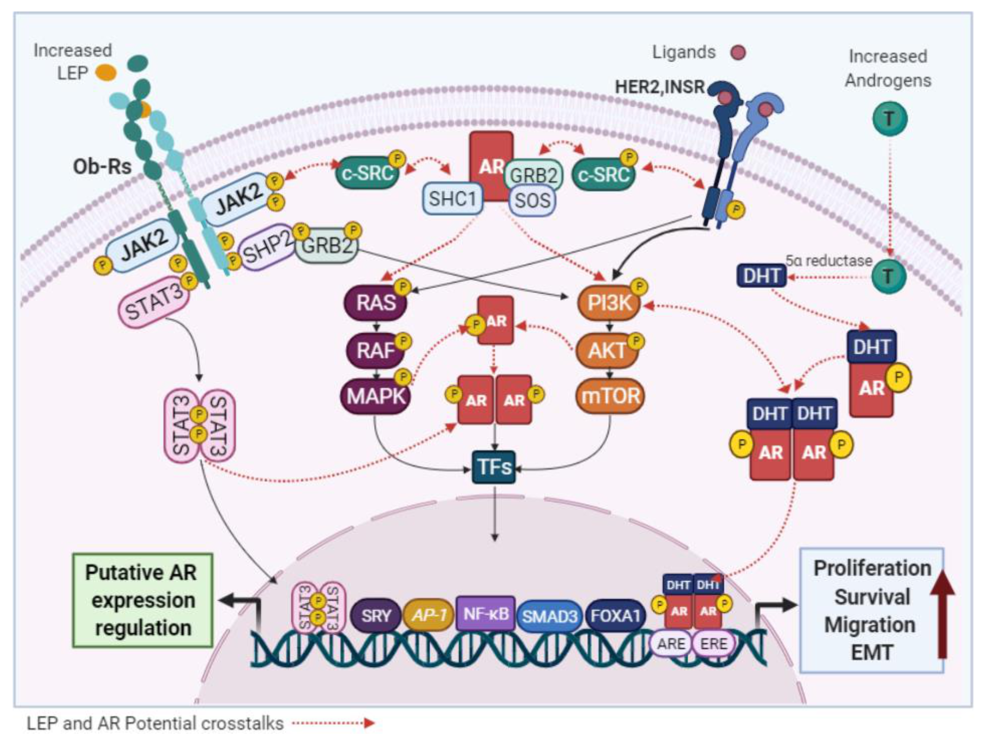 Cancers 13 02218 g006 Cancers 13 02218 g006