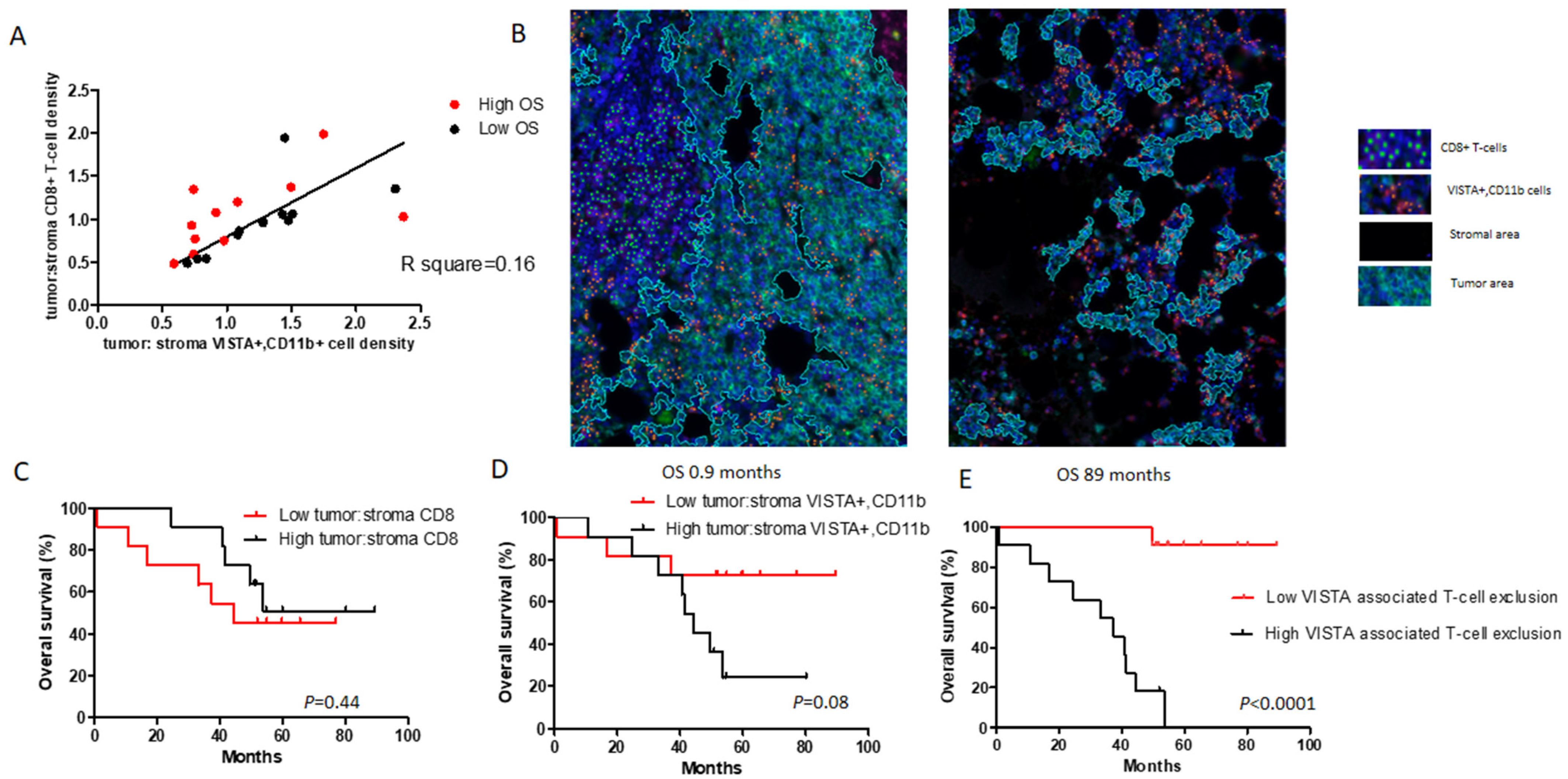 Cancers 13 02219 g006 Cancers 13 02219 g006