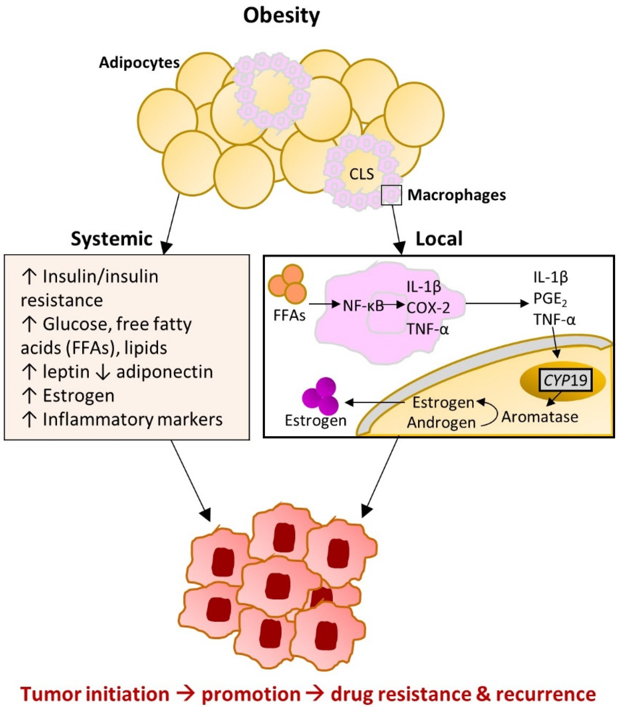 Cancers 13 02222 g002 Cancers 13 02222 g002