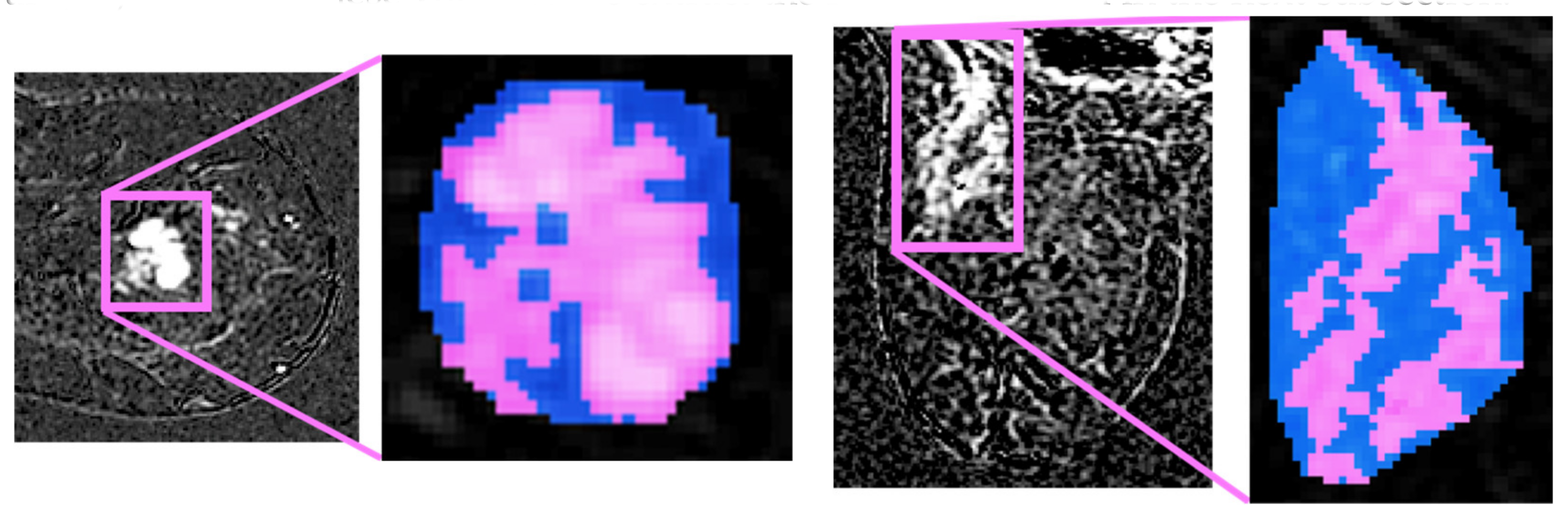 Cancers 13 02228 g004a