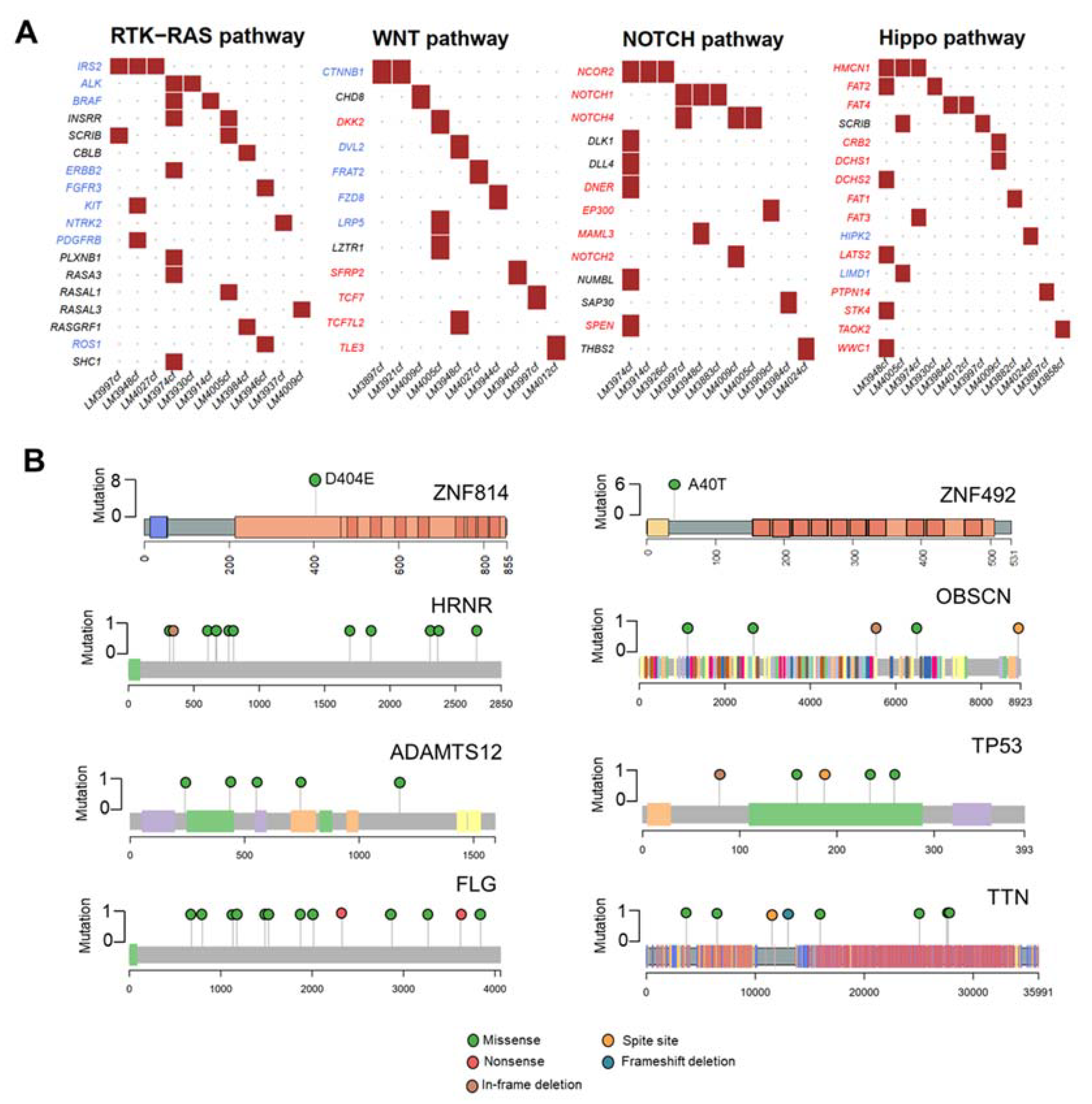 Cancers 13 02229 g002