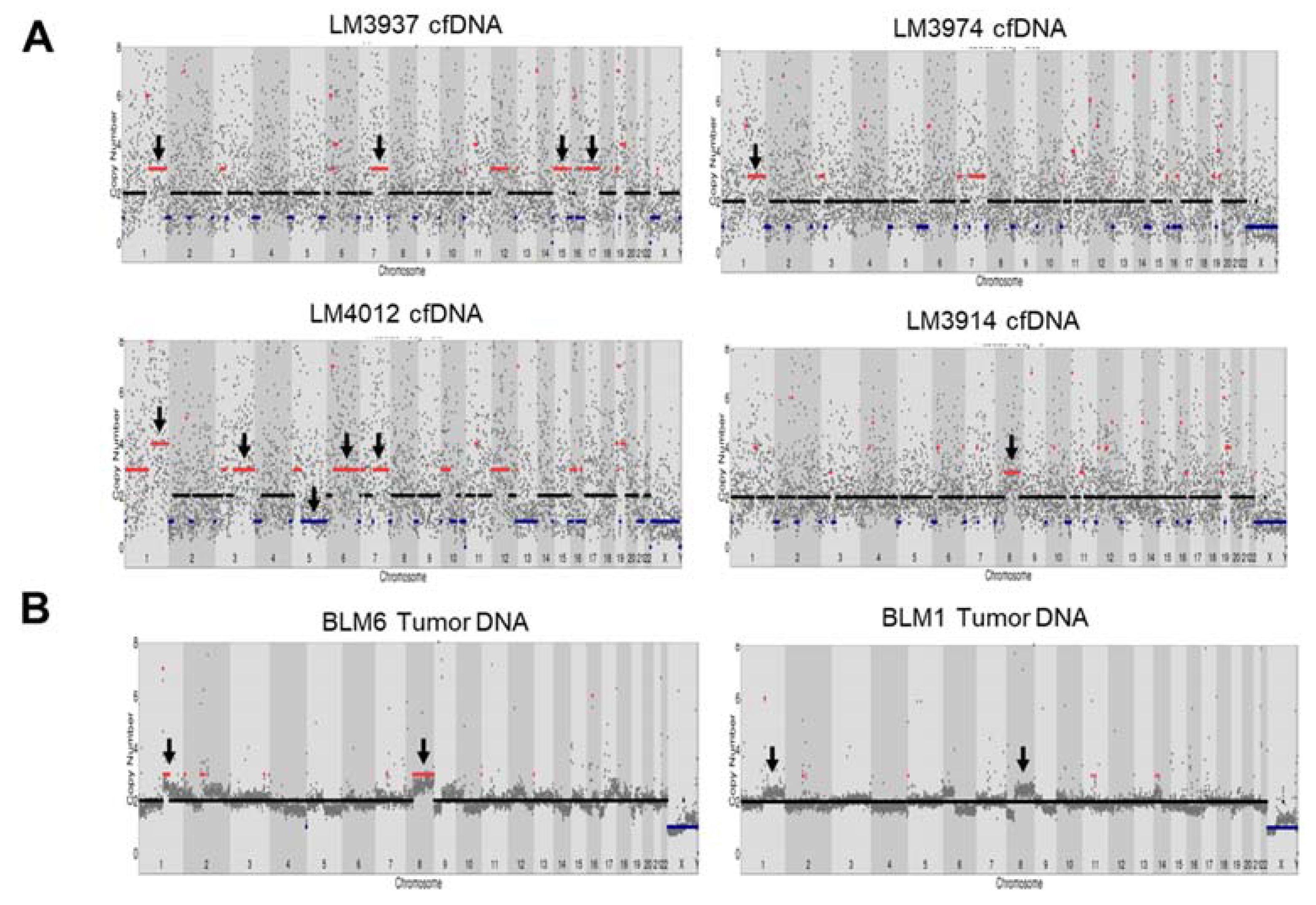 Cancers 13 02229 g004