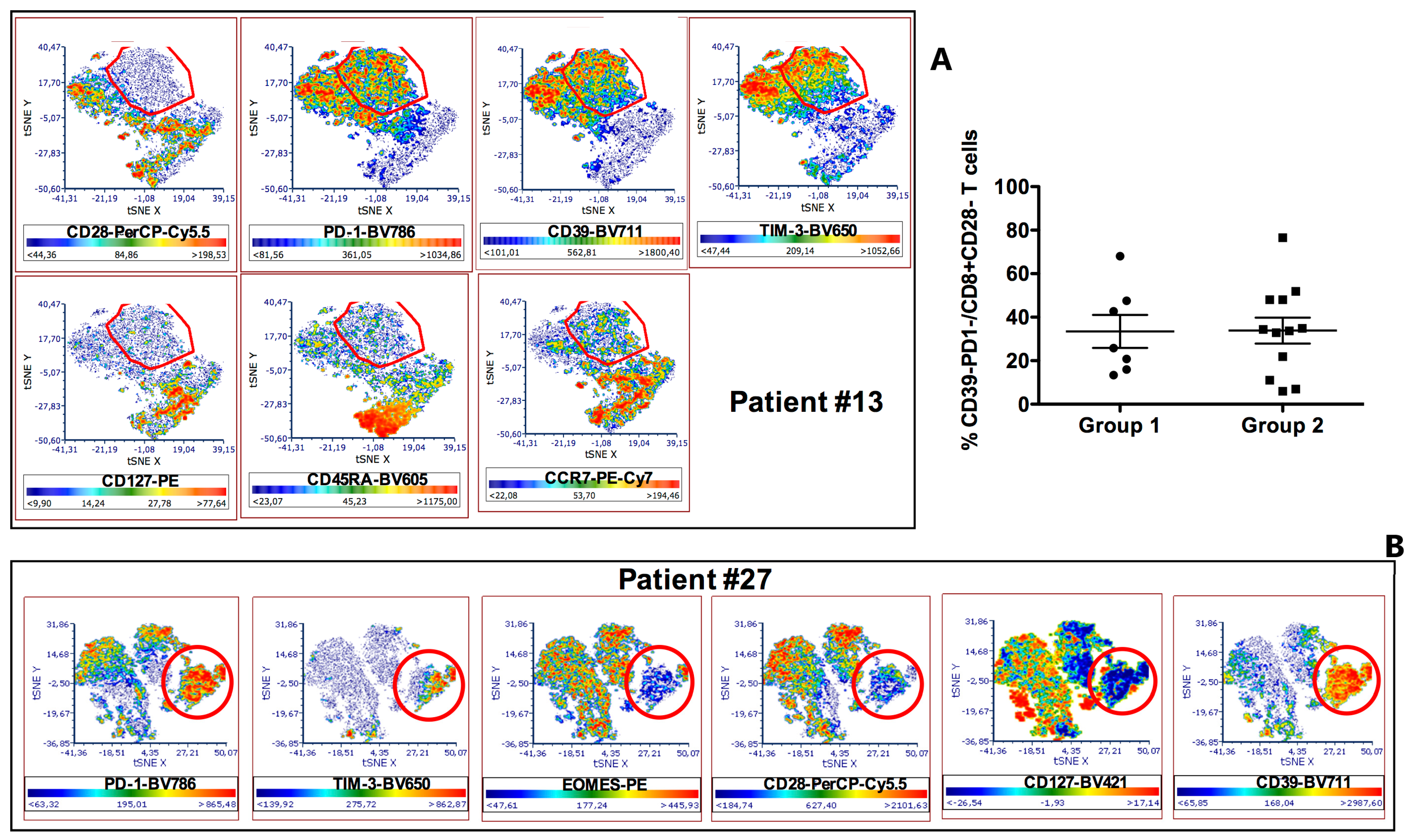 Cancers 13 02234 g003